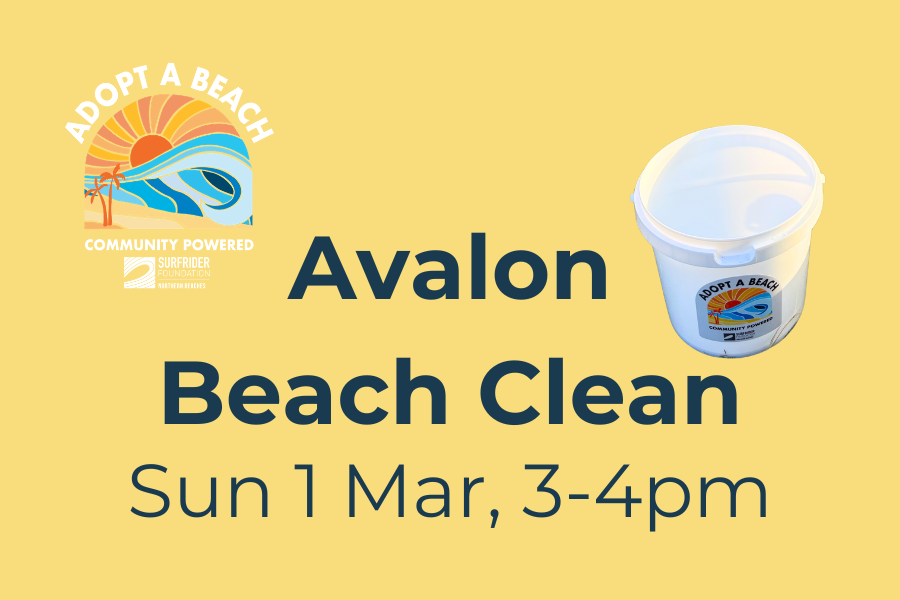 BMS Surfrider Adopt A Beach Partnership