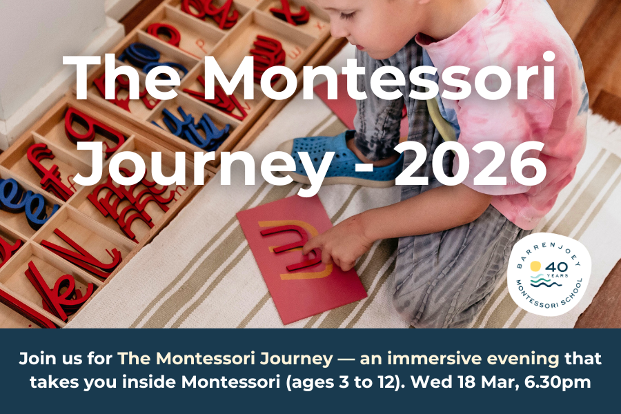 The Montessori Journey 2026