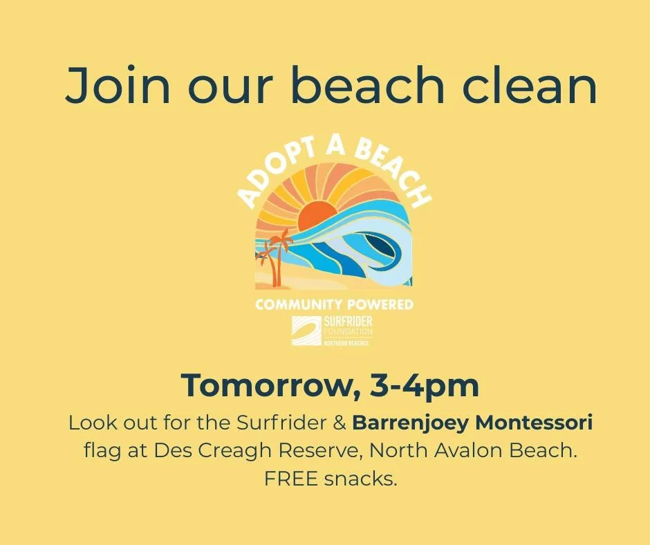 Join us tomorrow at 3pm for a power hour to keep our beach free from plastic pollution.
Please wear enclosed shoes and BYO gloves (children's gardening gloves provided).

Everyone welcome from BMS and the wider Avalon community.
See you tomorrow!

#A