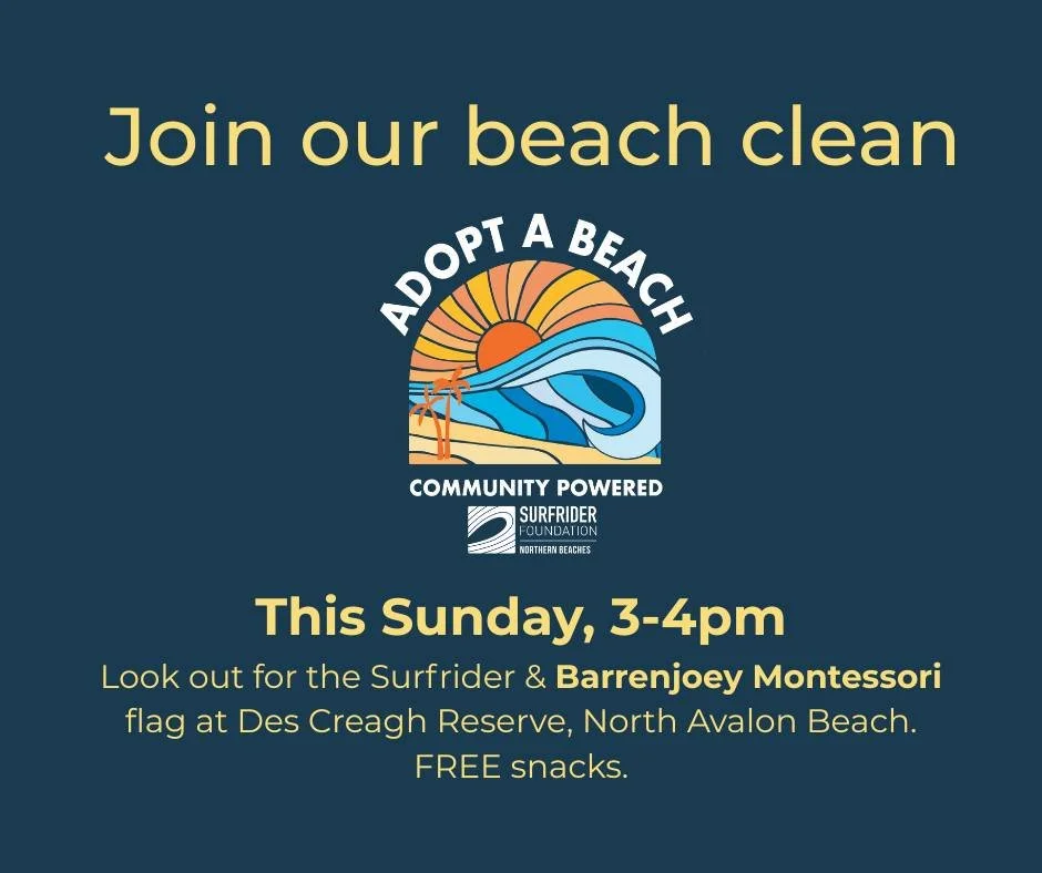Mark your diaries for this Sunday to grab your gloves, a bucket and help us protect our local beach and playground at North Avalon!

Clean up starts at 3pm for 30mins, followed by free refreshments and a community hang whilst we sort, weigh and docum