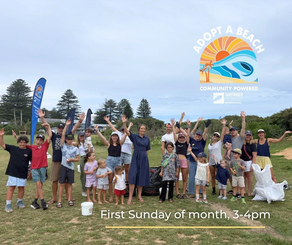 What a successful start to our 2026 'Adopt a Beach' program with Surfrider at North Avalon Beach.
Collecting over 10kg of bottles, plastic wrappers and paper from the beach in a power hour of clean-up, supported by our local independent MP, Jacqui Sc