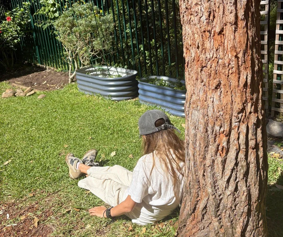 End of term wind down...it's been a jam packed term with just one more sleep to go!
Last day of Term 1 tomorrow (Thursday)
Pick up at midday