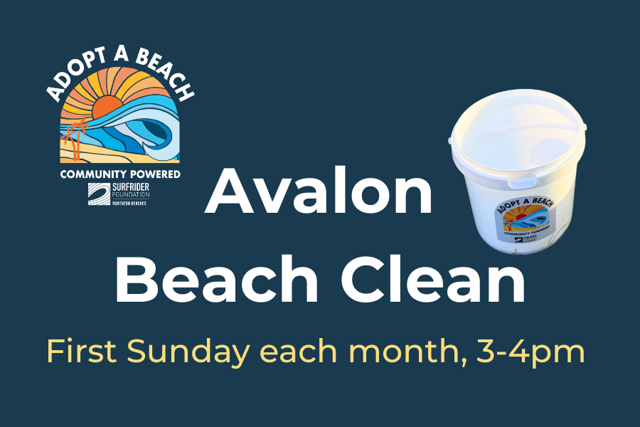 BMS Surfrider Adopt A Beach Partnership
