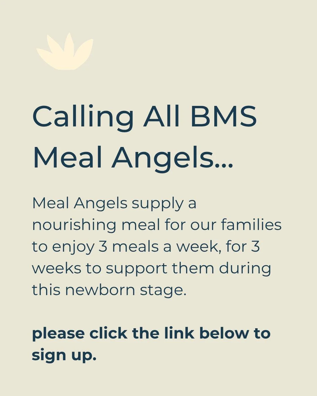 Help us support one of our Preschool families in welcoming their new addition.
If you can provide a family meal, please sign up by mailing us at info@bms.nsw.edu.au or follow the link in this week's  newsletter.