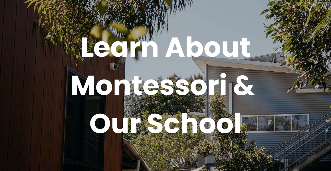 Learn more about Montessori education & our school programs (Playgroup, Preschool, Primary)