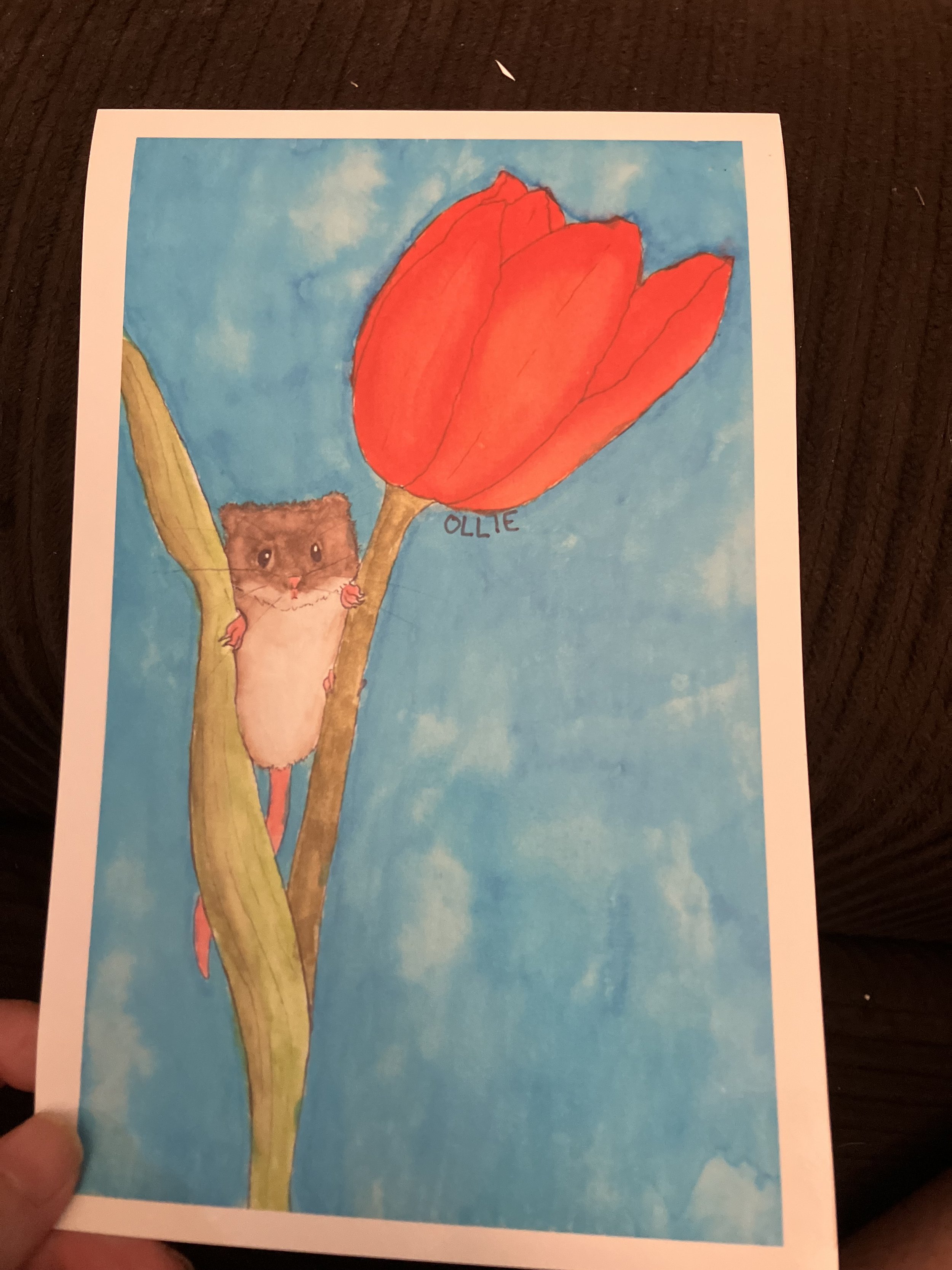 IMG_7444.jpeg
