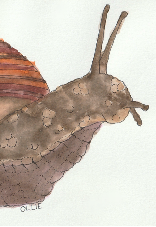 SNAIL vertical.png
