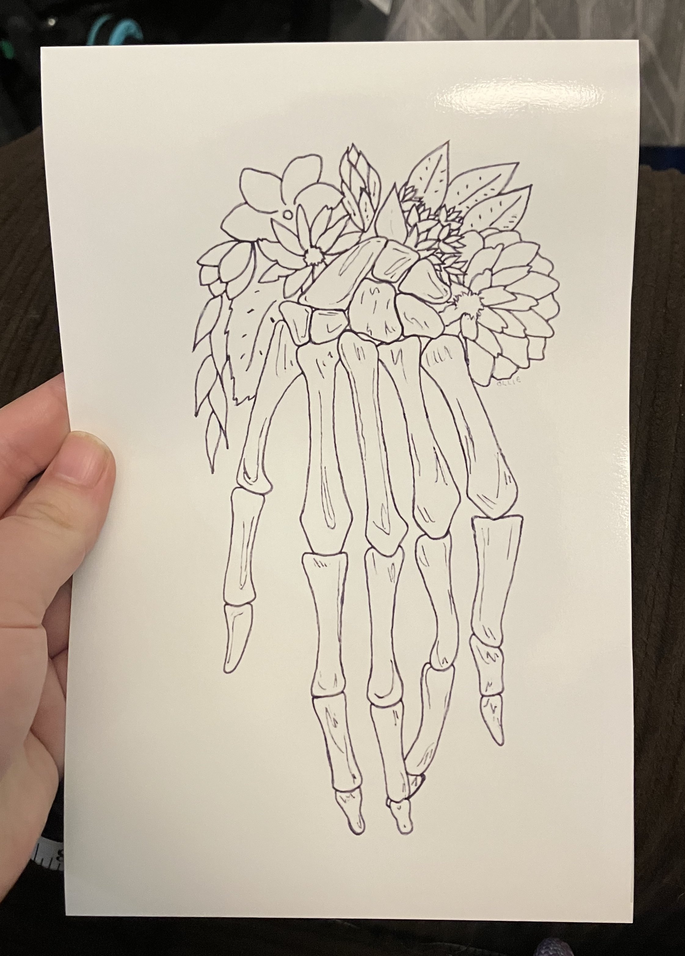 IMG_7441.jpeg