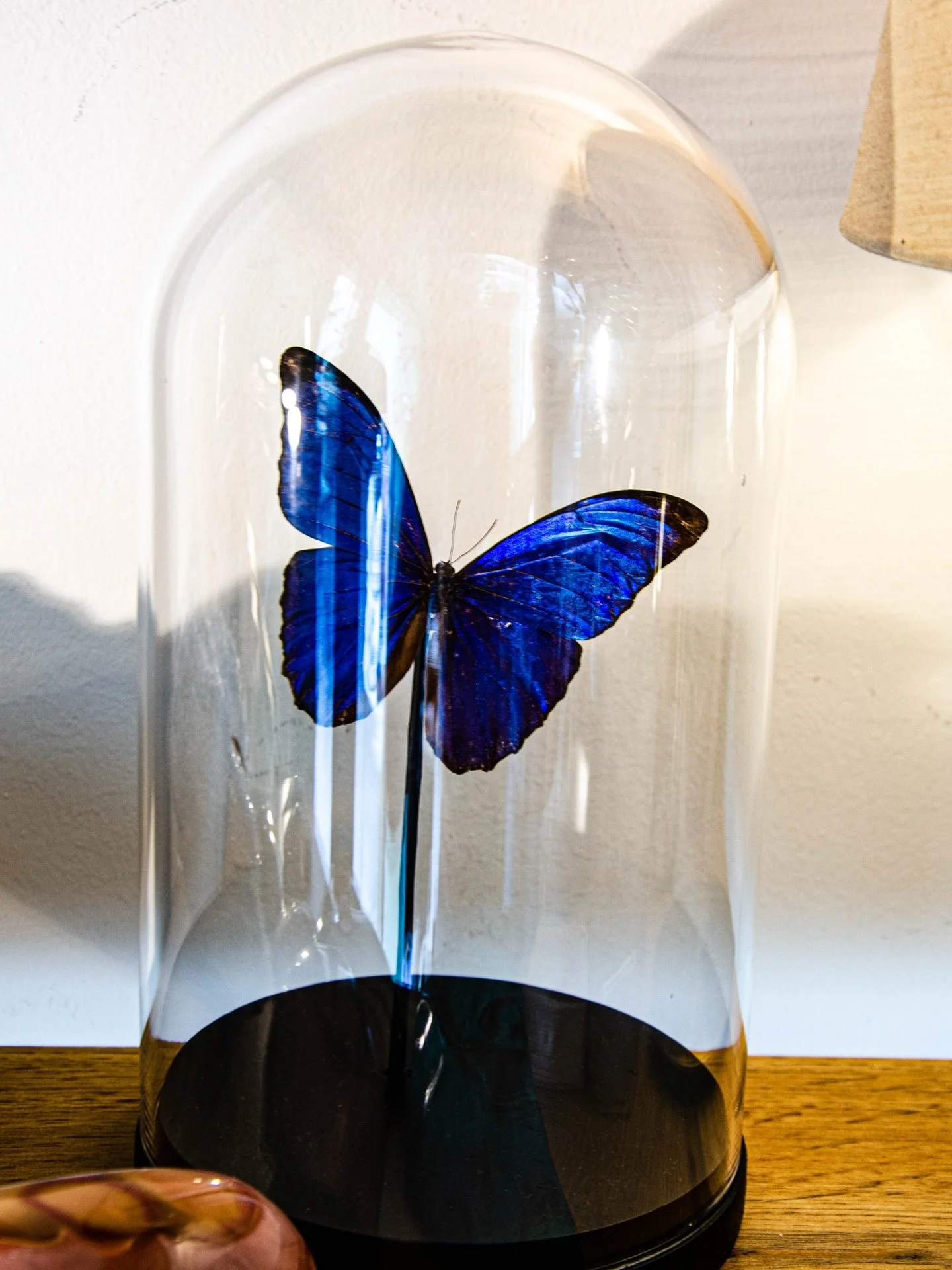 Fragment Uz&egrave;s ouvre un nouveau chapitre.

Au c&oelig;ur d&rsquo;Uz&egrave;s, une boutique curieuse d&eacute;di&eacute;e aux min&eacute;raux, fossiles, bijoux, objets de nature et fragments choisis.

Des pi&egrave;ces &agrave; contempler, offri