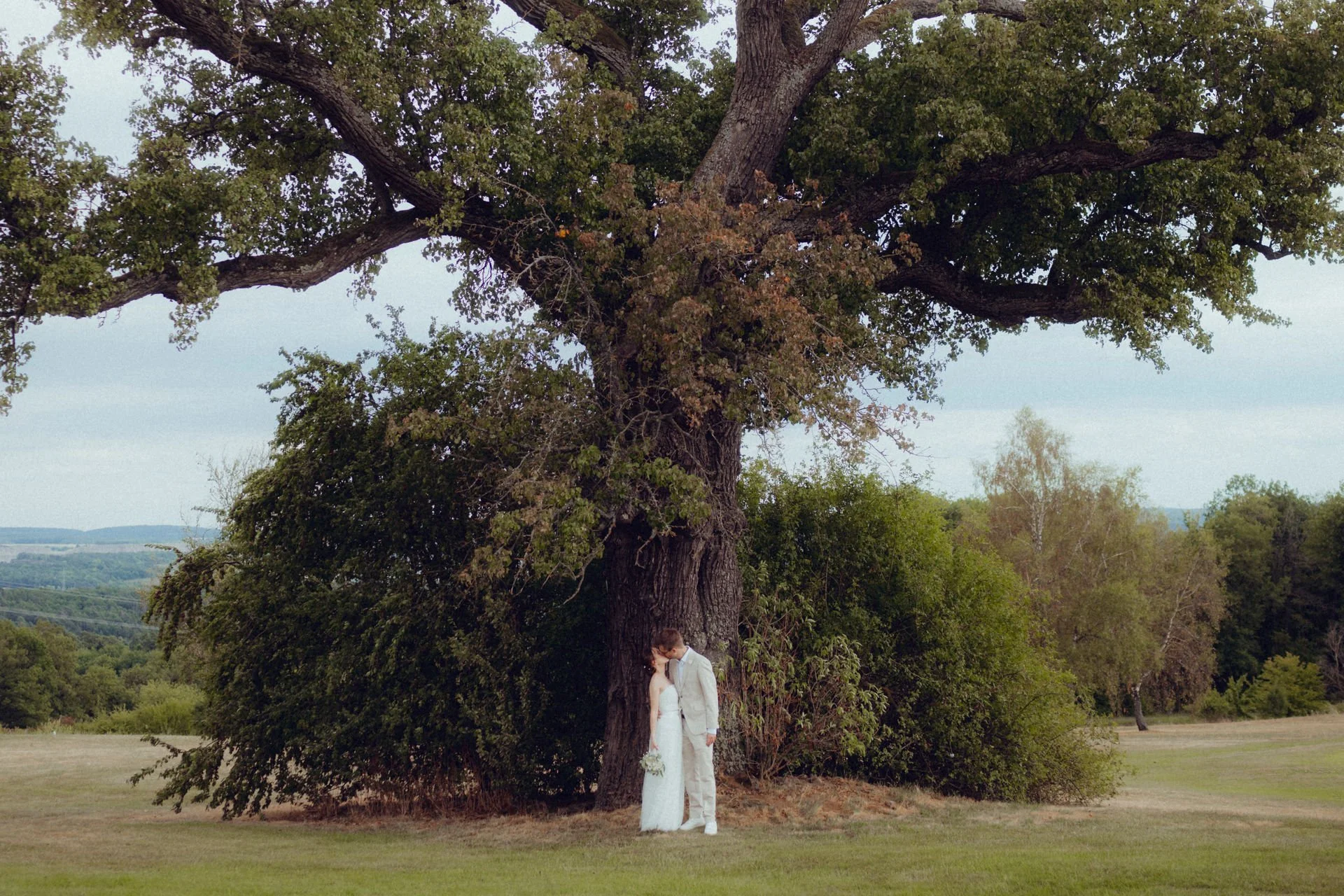Ein Brautpaar steht vor einem großen Baum auf einer Wiese, umarmt sich und küsst sich bei Sonnenuntergang.