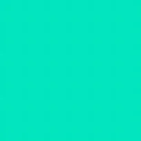 Screen Shot 2024-10-07 at 10.53.34 AM.jpg