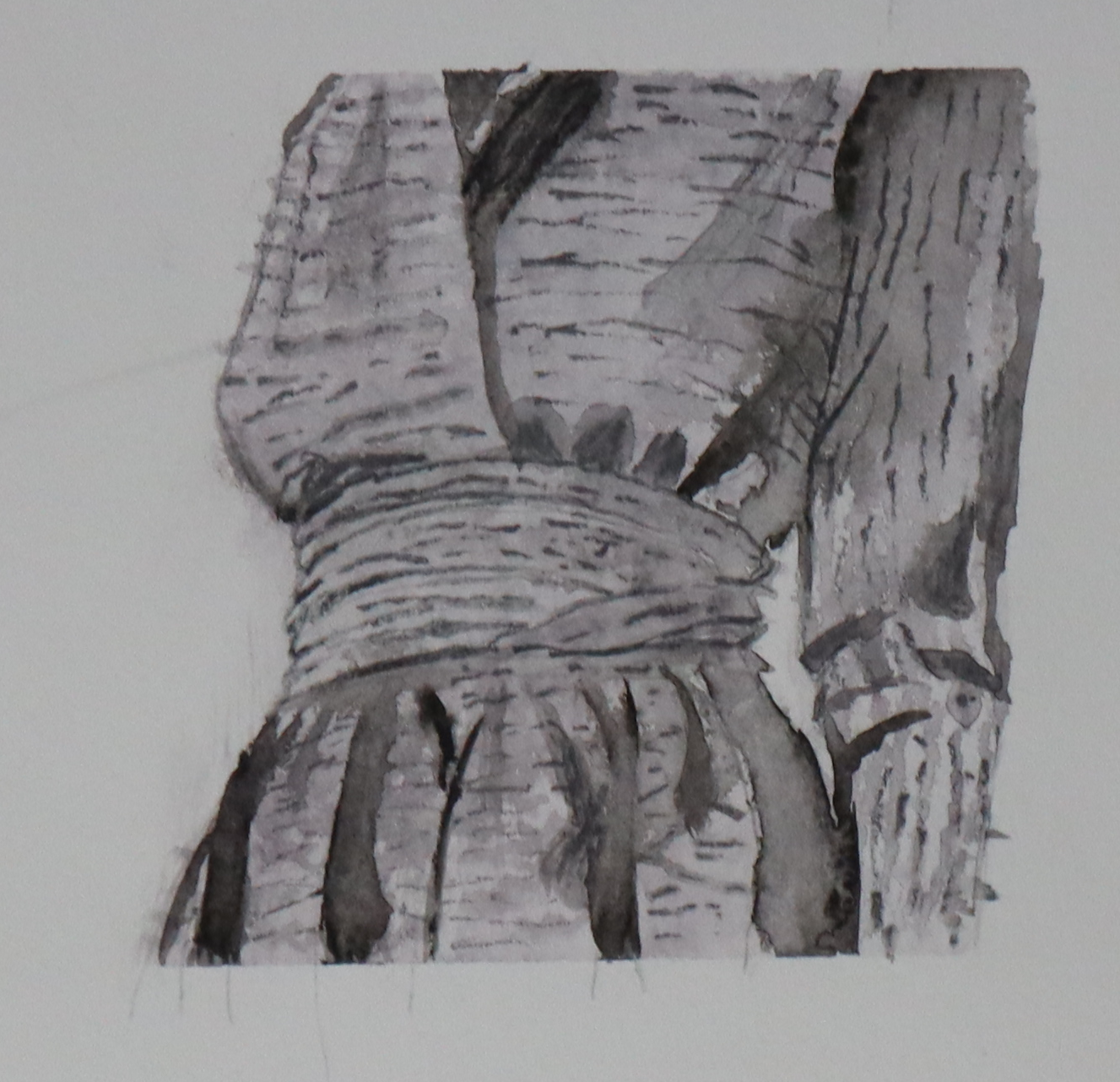 IMG_0209.png