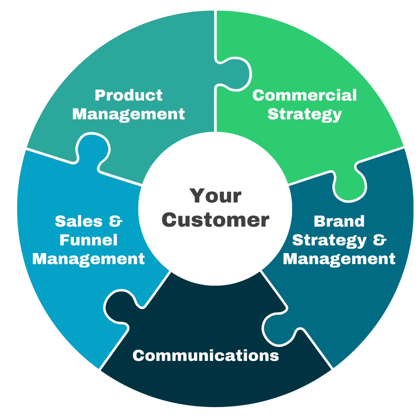 A circular puzzle diagram titled 'Your Customer' at the center, surrounded by five integrated pillars: Product Management, Commercial Strategy, Brand Strategy & Management, Communications, and Sales & Funnel Management
