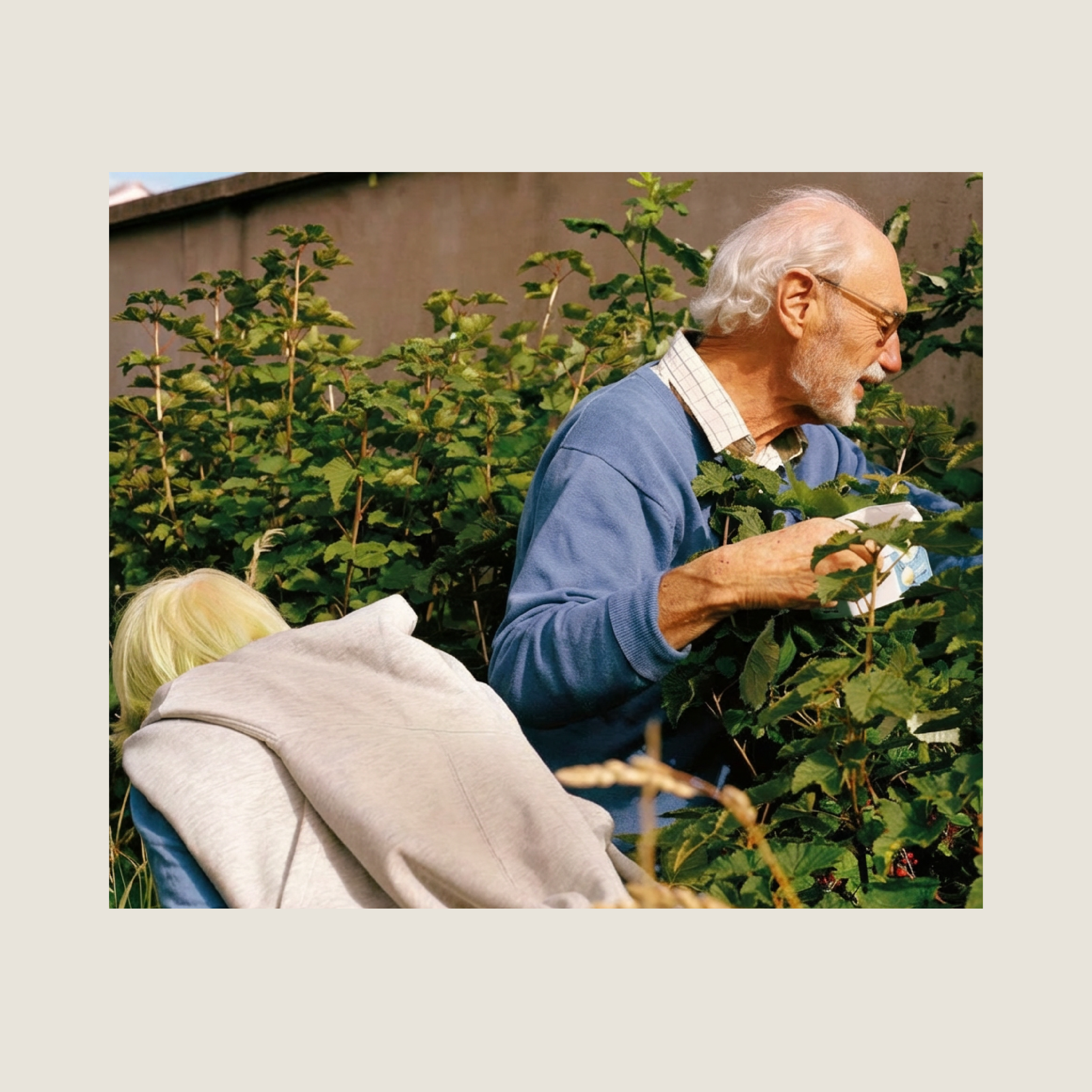 Porto_lokal_02.png