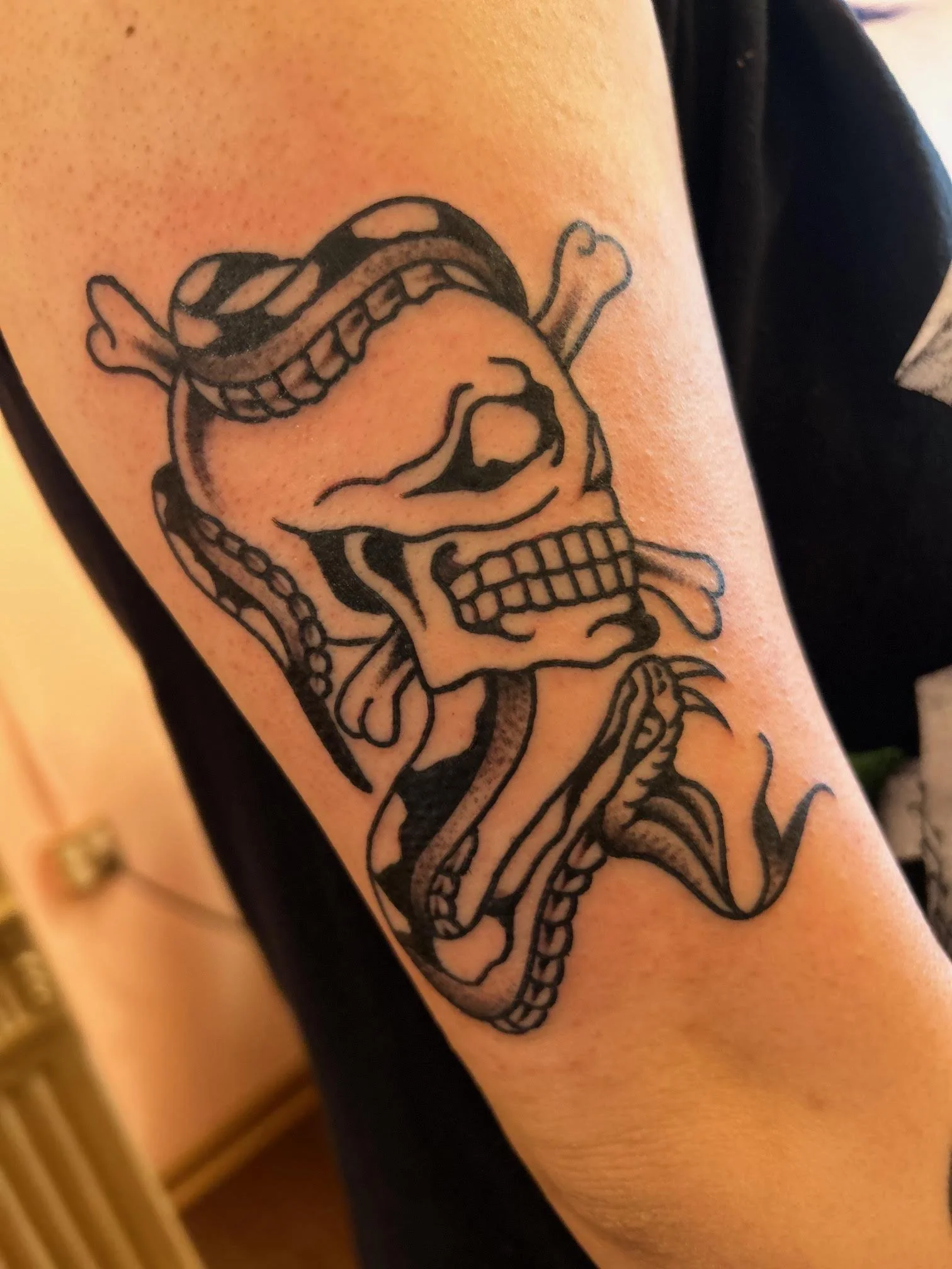 skull snake tattoo.jpeg