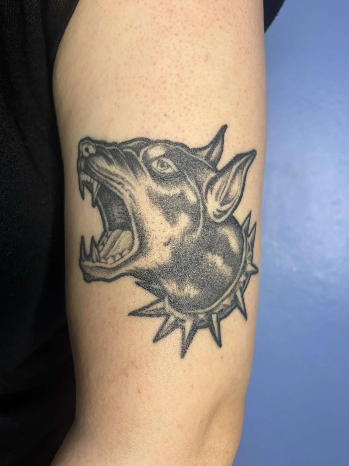 doberman tattoo.jpeg