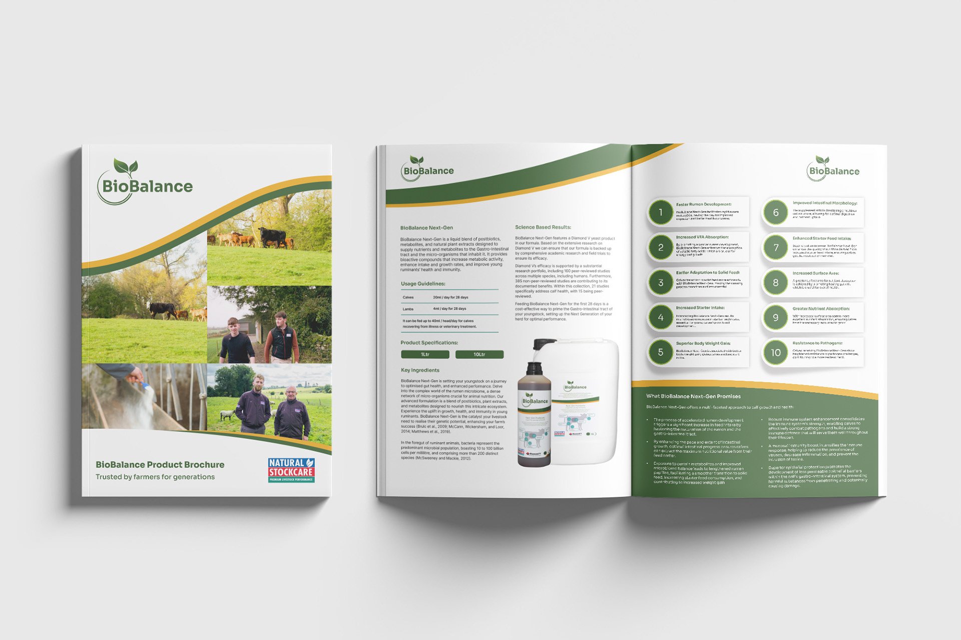 export brochure.jpg