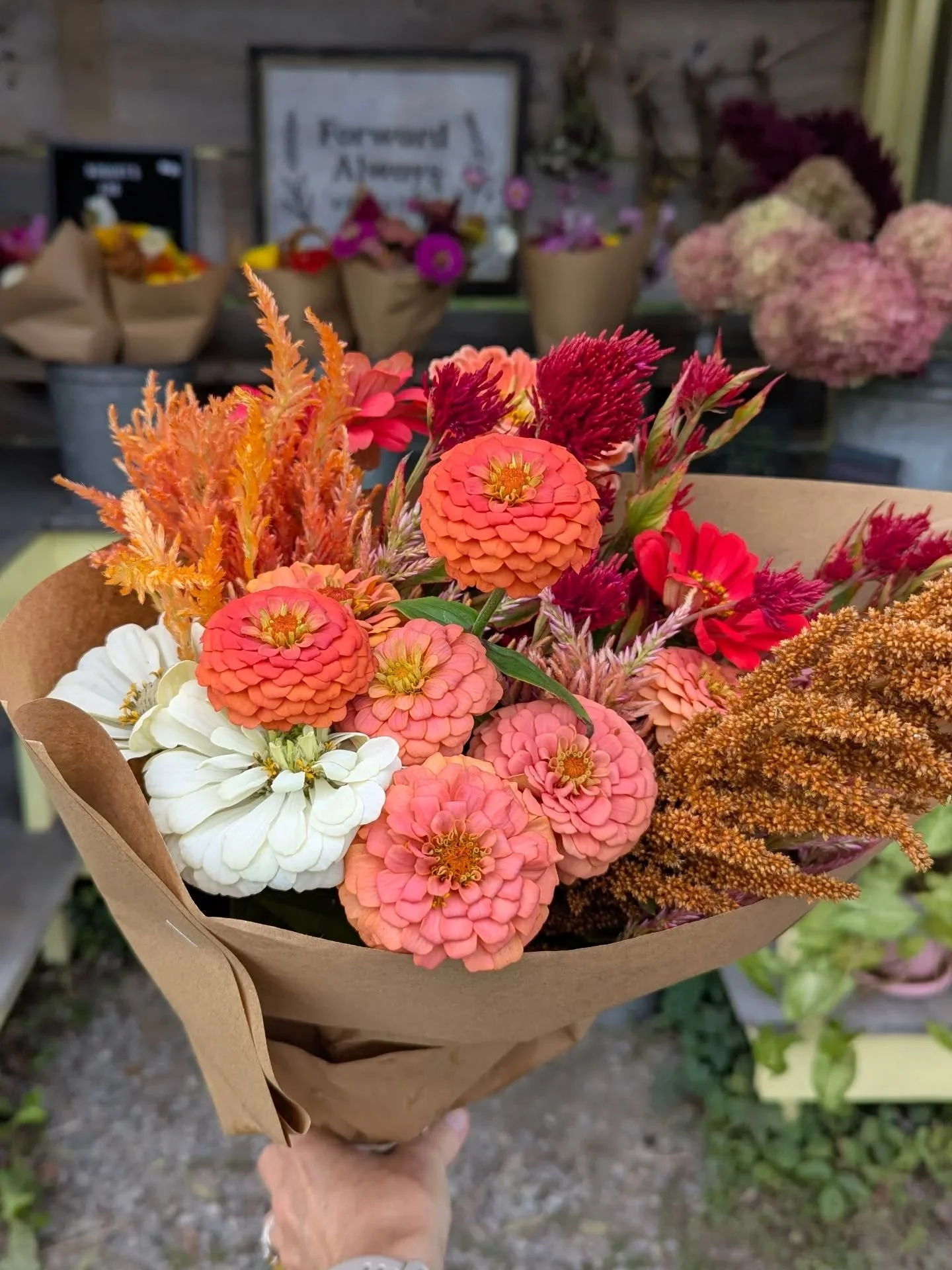 &quot;So pack up your car, put a hand on your heart, say whatever you feel, be whenever you are.&quot;

So present with the flowers today. They'll be gone so soon. 

Farmstand stocked for the weekend. Hopefully not the last one! 

I am going to cover