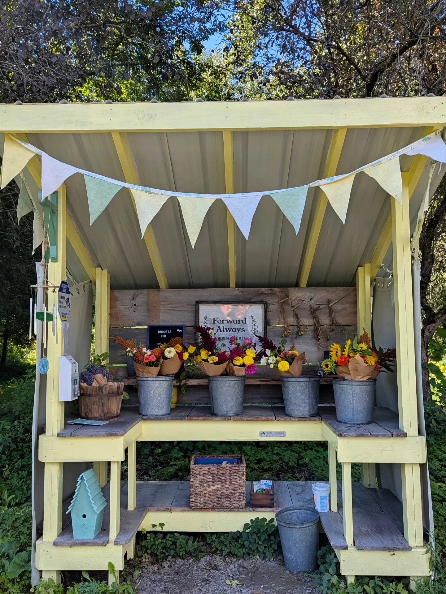 September has always been about letting go for me. 

So, I'm letting go of control. 

Knowing I can't do everything alone. And, it's better for me and everyone else when I ask for help.

That's why you'll see bouquets harvested and made at our farm b