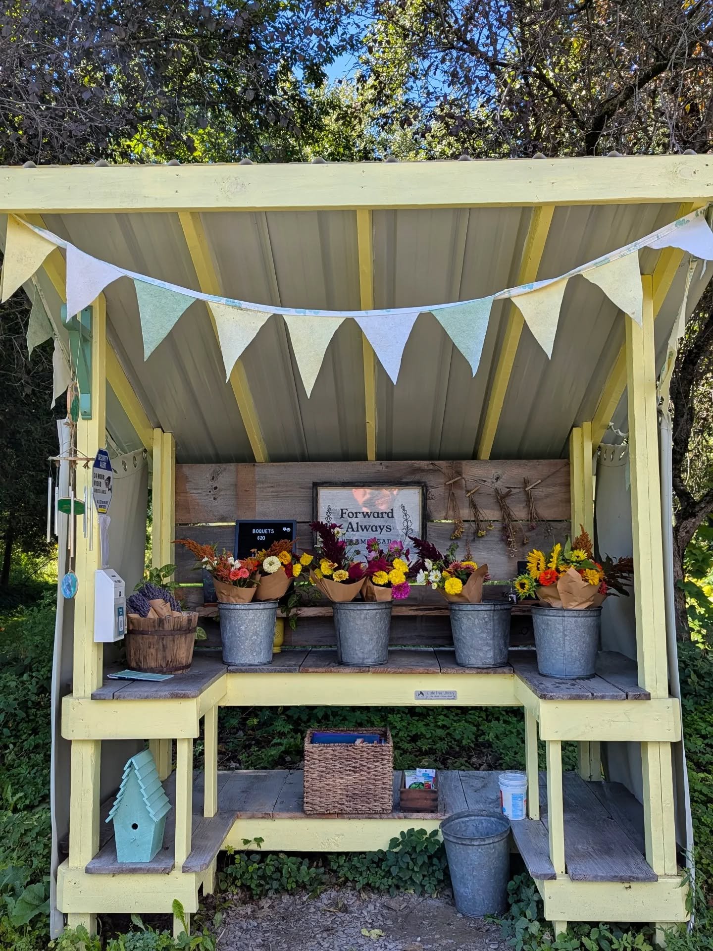 September has always been about letting go for me. 

So, I'm letting go of control. 

Knowing I can't do everything alone. And, it's better for me and everyone else when I ask for help.

That's why you'll see bouquets harvested and made at our farm b