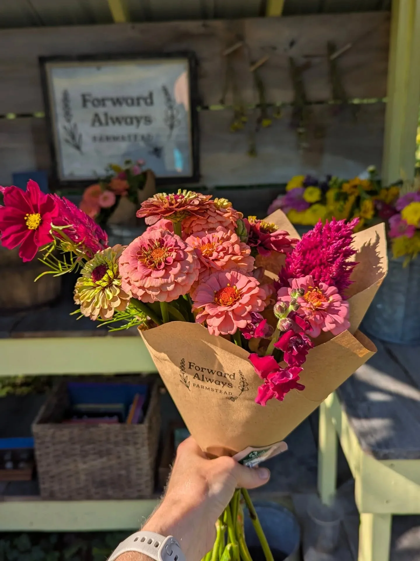 Farmstand open Saturday until 7 p.m. with juicy bouquets (closed Sunday this week).
Cash + Venmo. Much gratitude 🙏