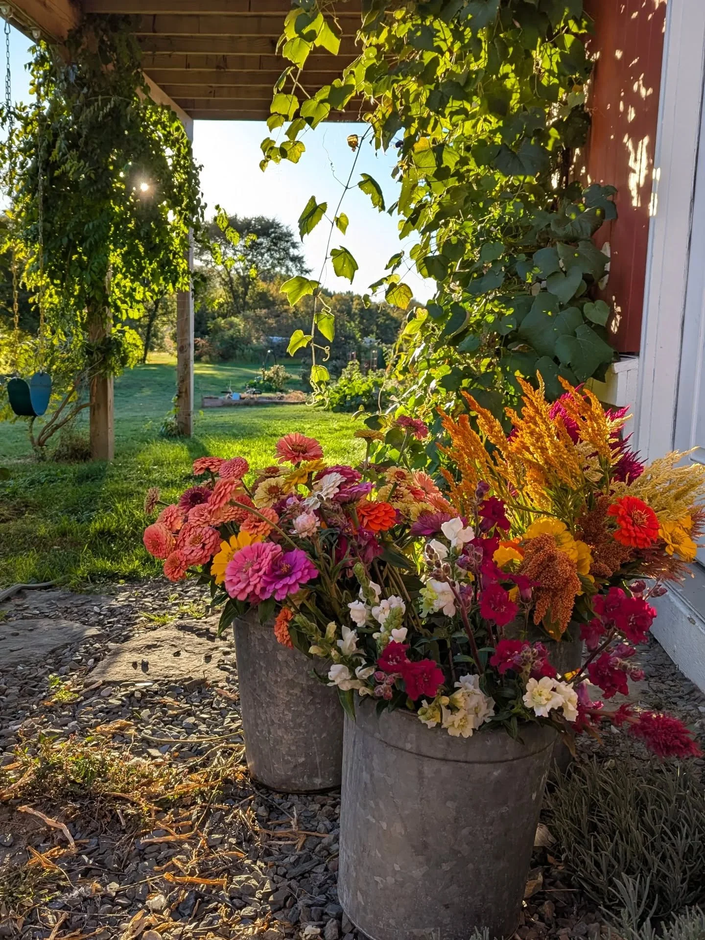 I wouldn't necessarily say these flowers brought me joy in September. 

Did I love them dearly? Yes.

And yet...

Squeezing in time to make 300+ bouquets between my actual job, the daily life and family tasks, and while trying to enjoy summer, sort o