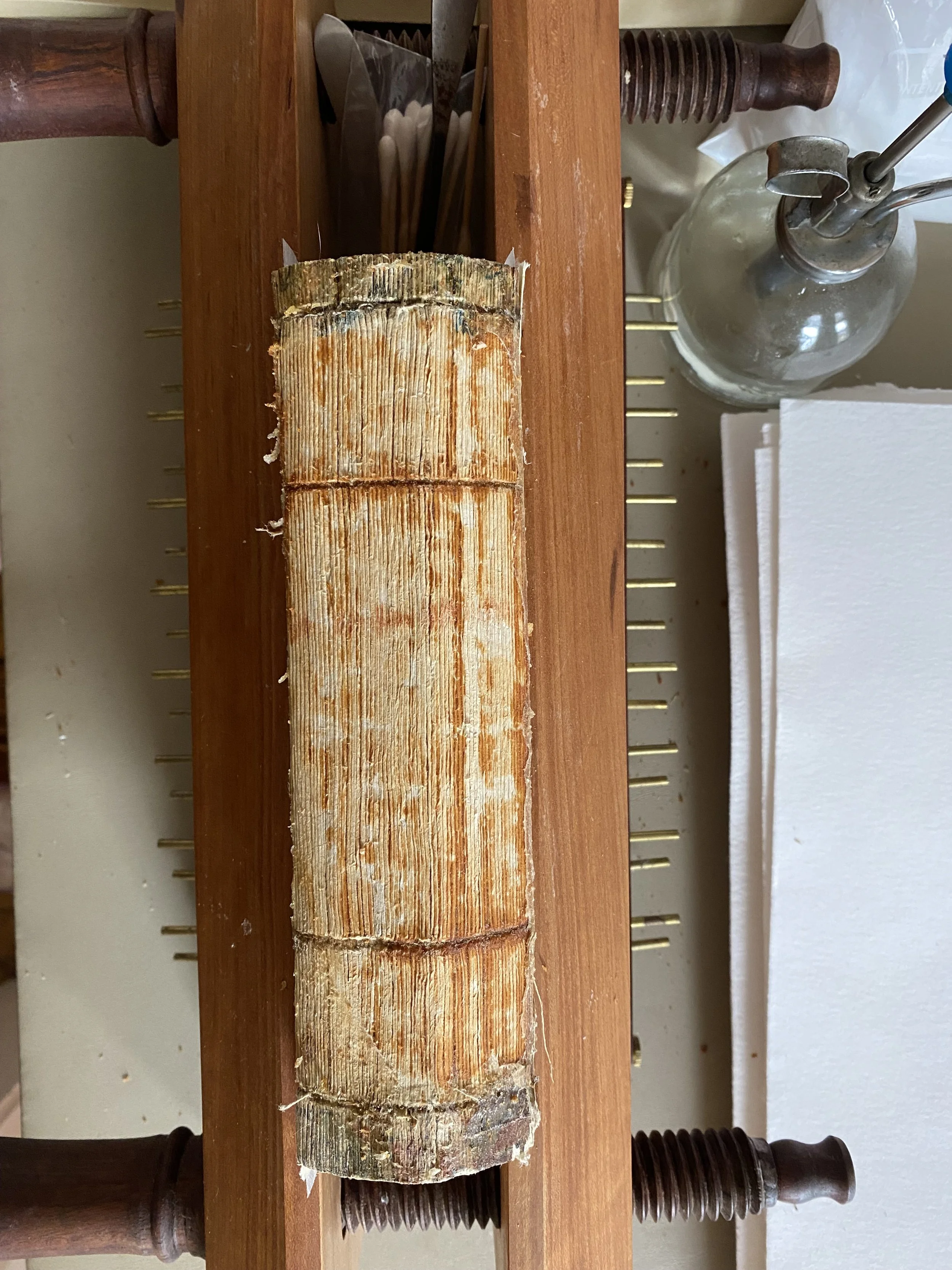 Copy of IMG_9254.jpg