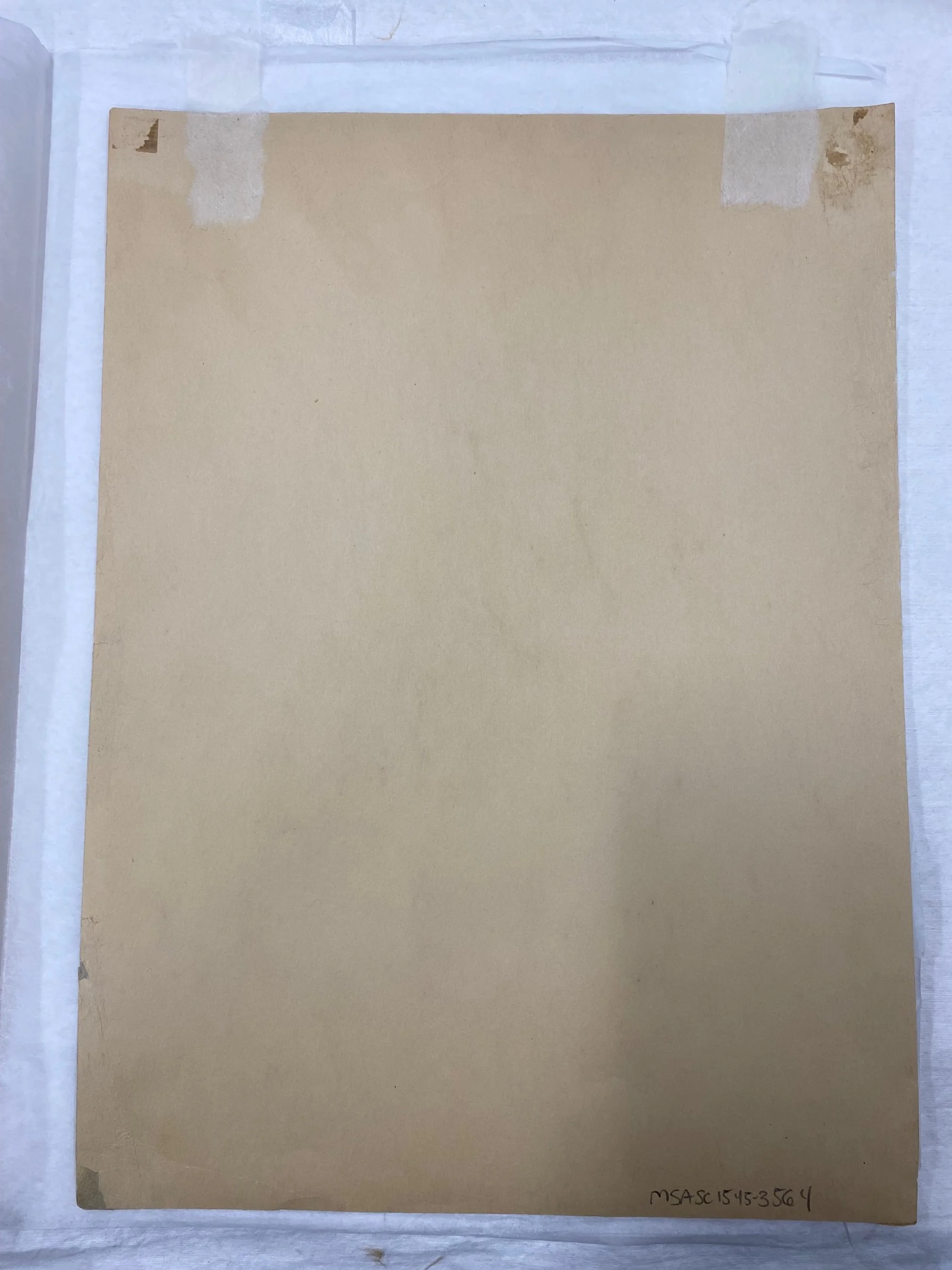 Reverse side, after treatment. New hinges, visible above, aid mounting. Repair can be seen, bottom-left corner.