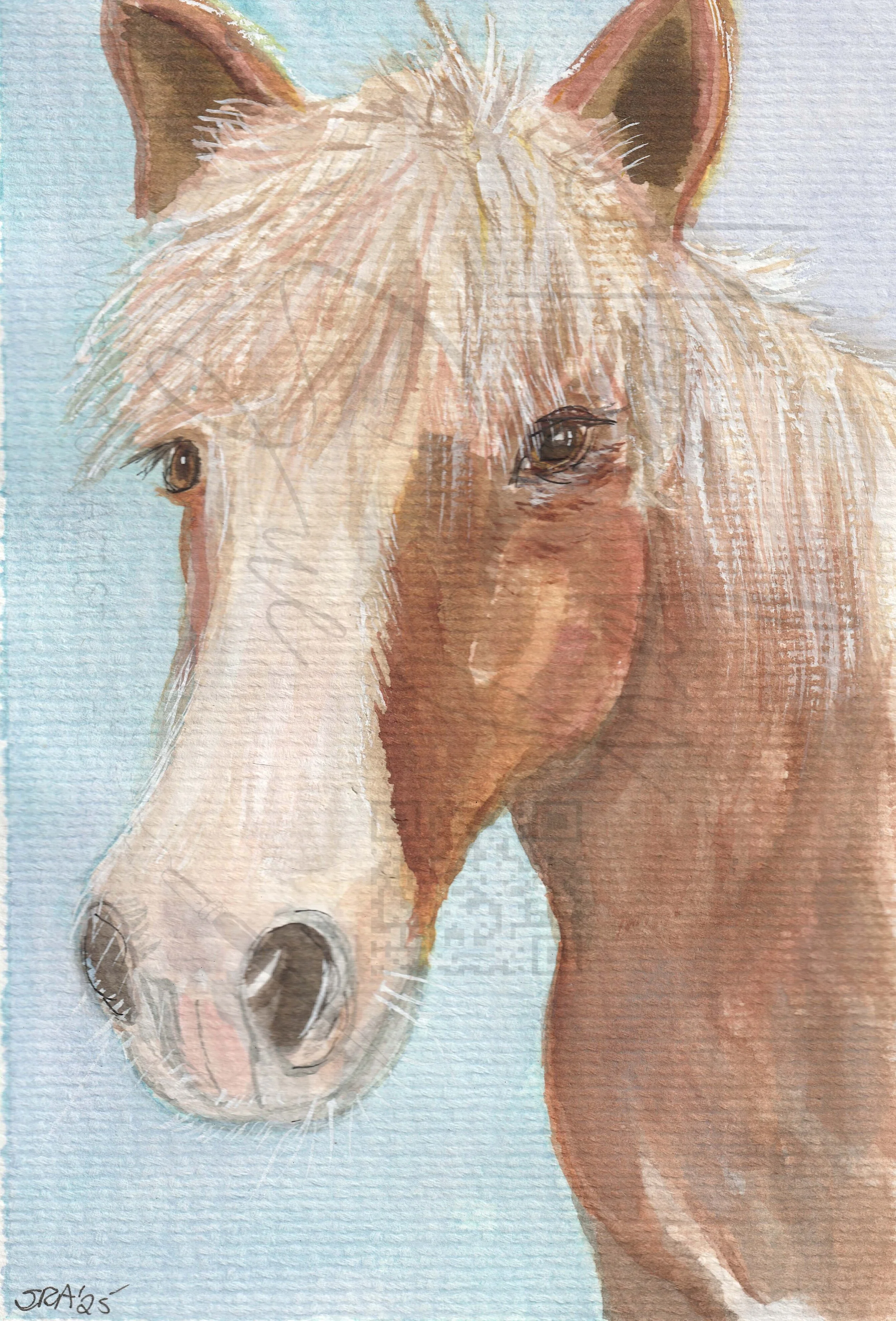 2025-Lakota-Pony.jpg