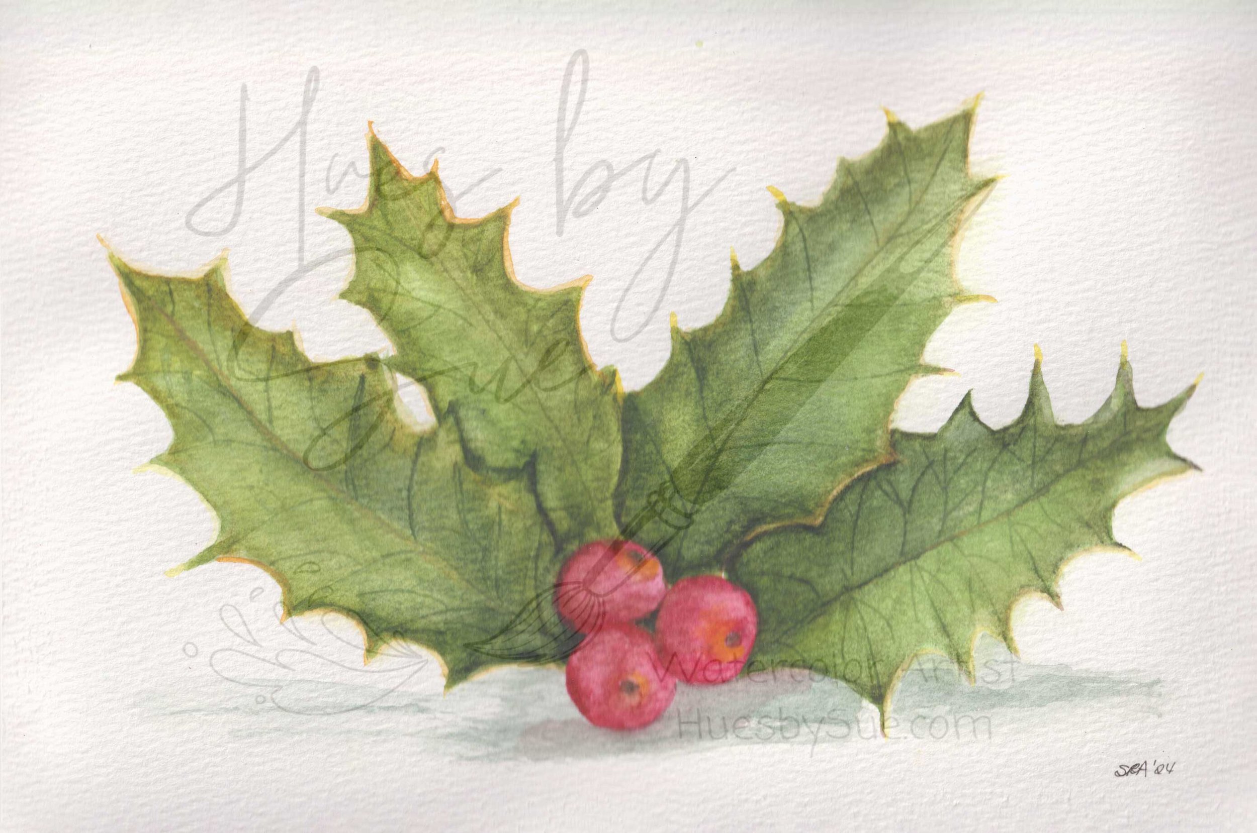 2024-Holly.jpg