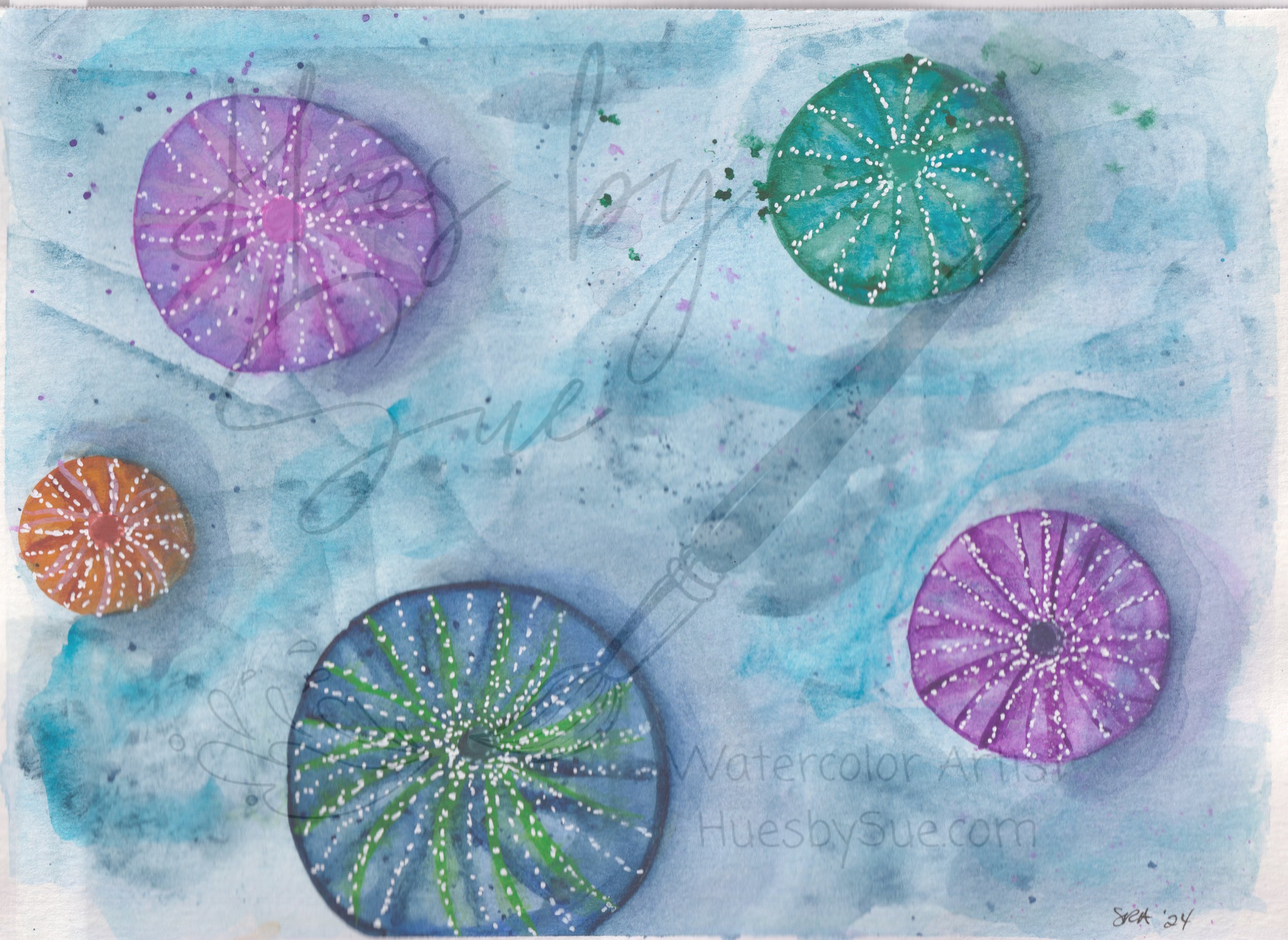 2024-sea-anenomes.jpg