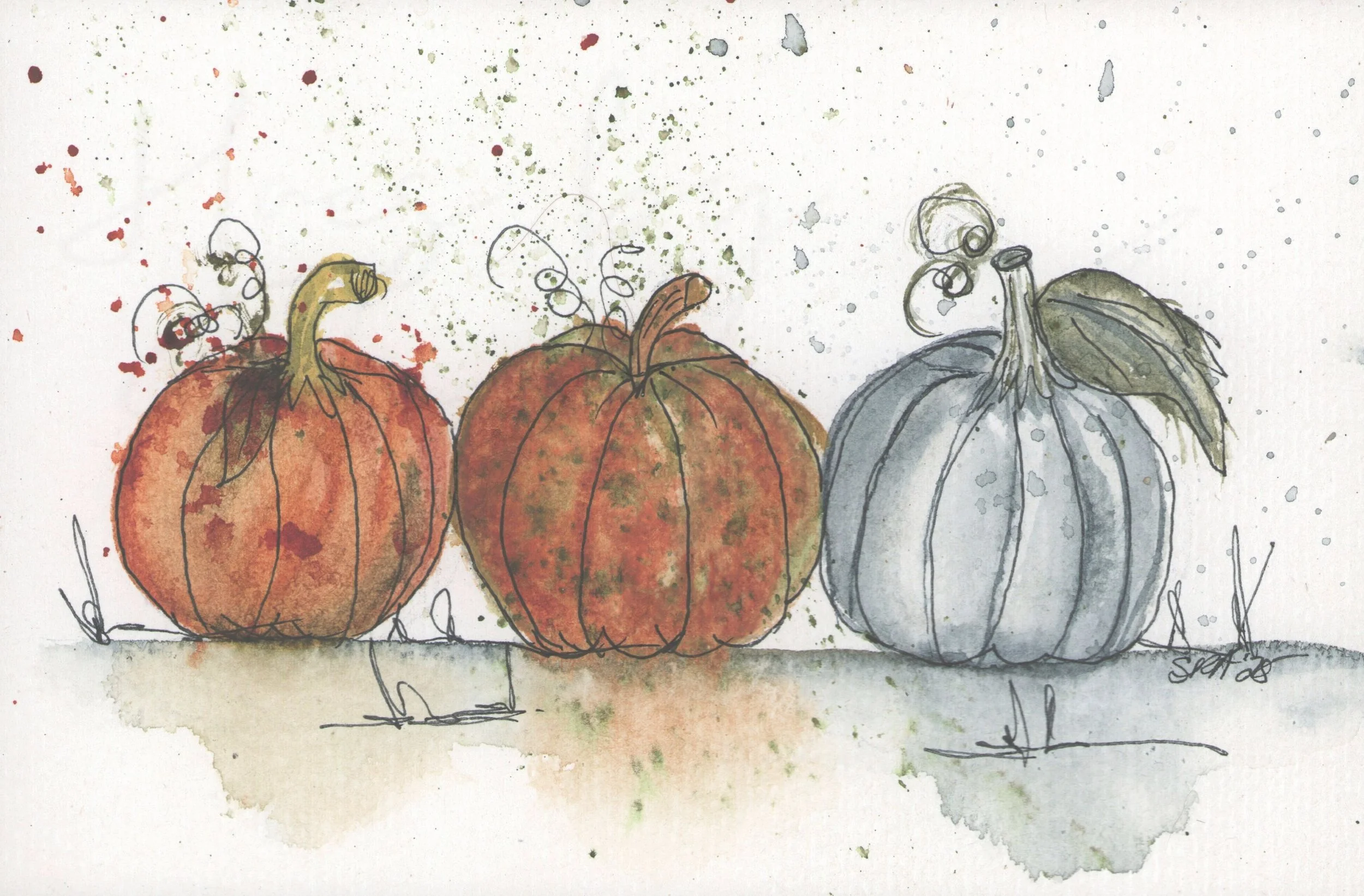 Autumn Pumpkin Field