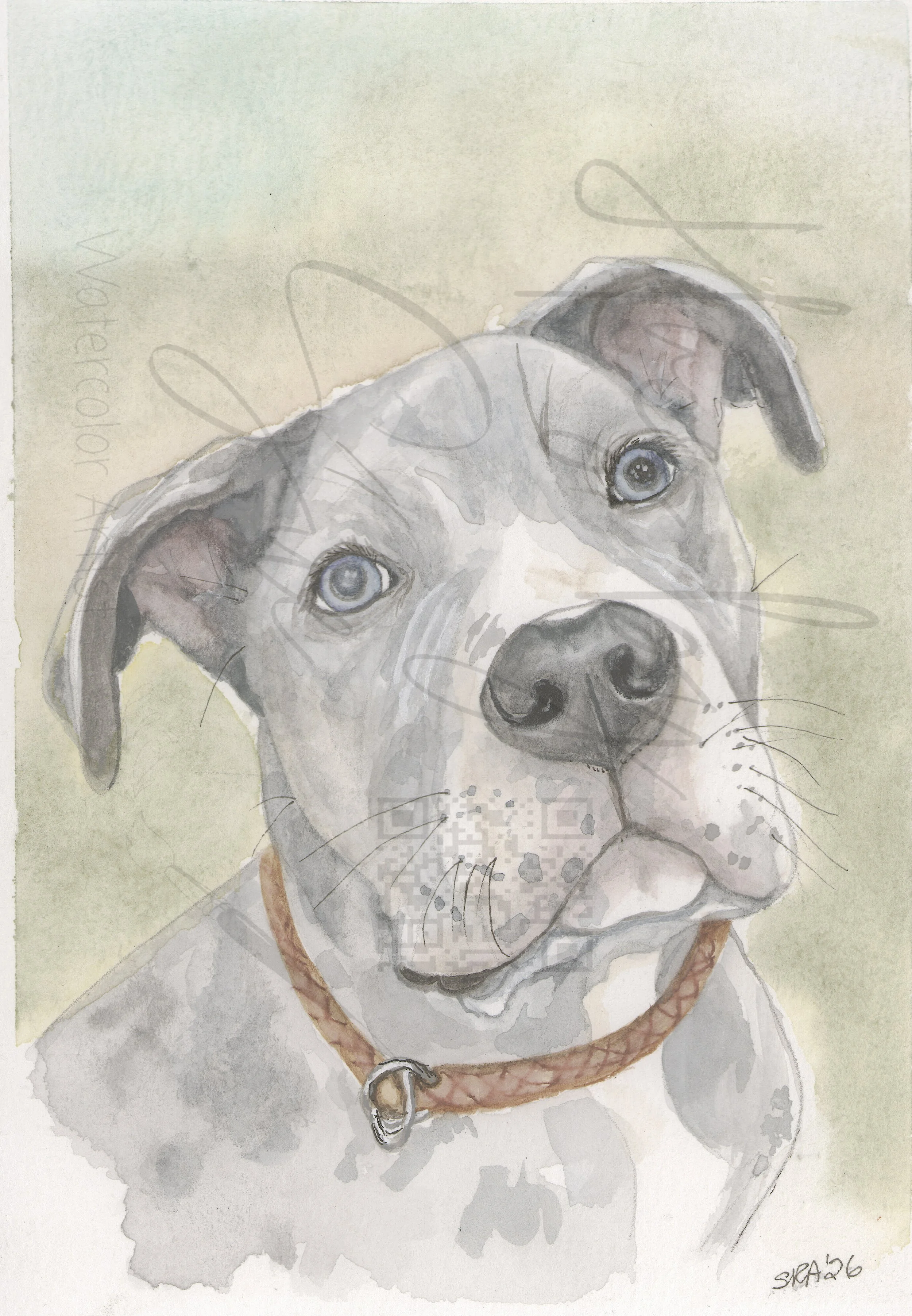 Pet Portrait Options