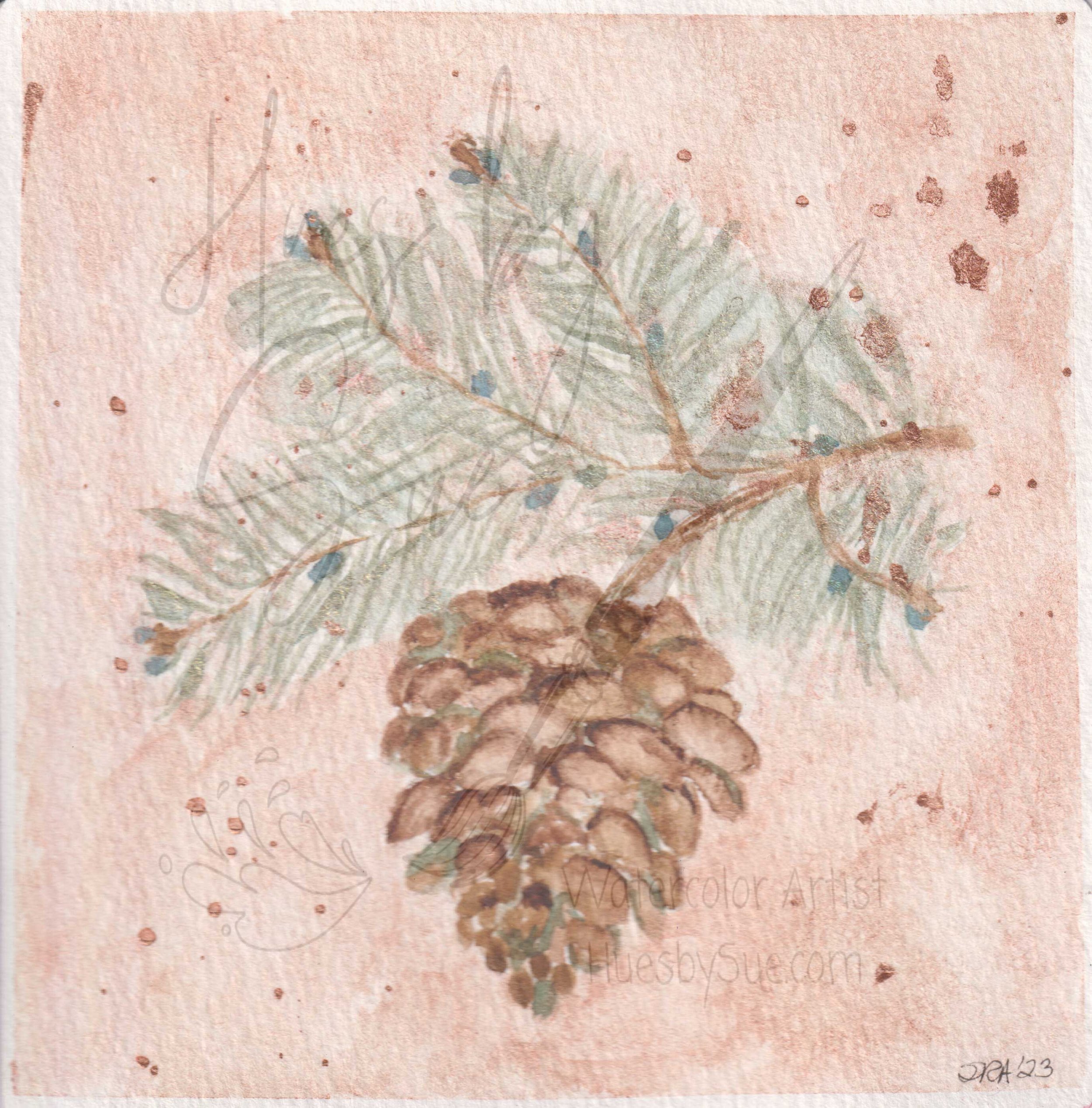 2024-pinecone-bough.jpg