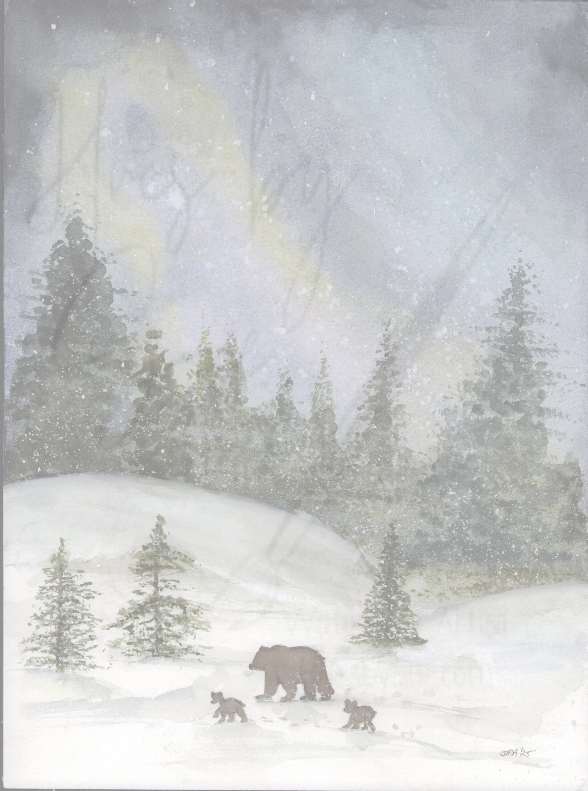 Momma Bear and Cubs Under the Northern Lights