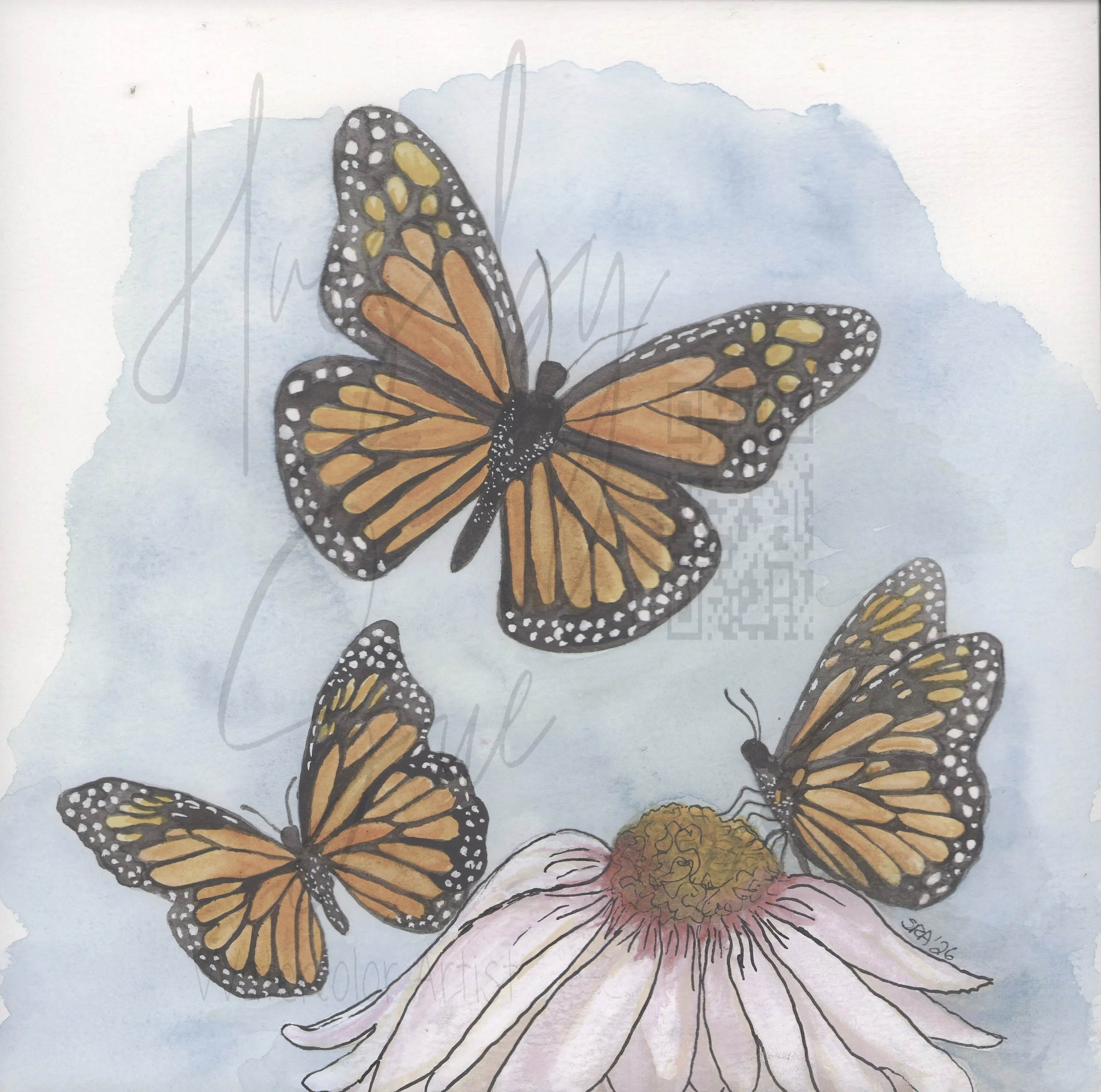 Three Monarchs Watercolor Art