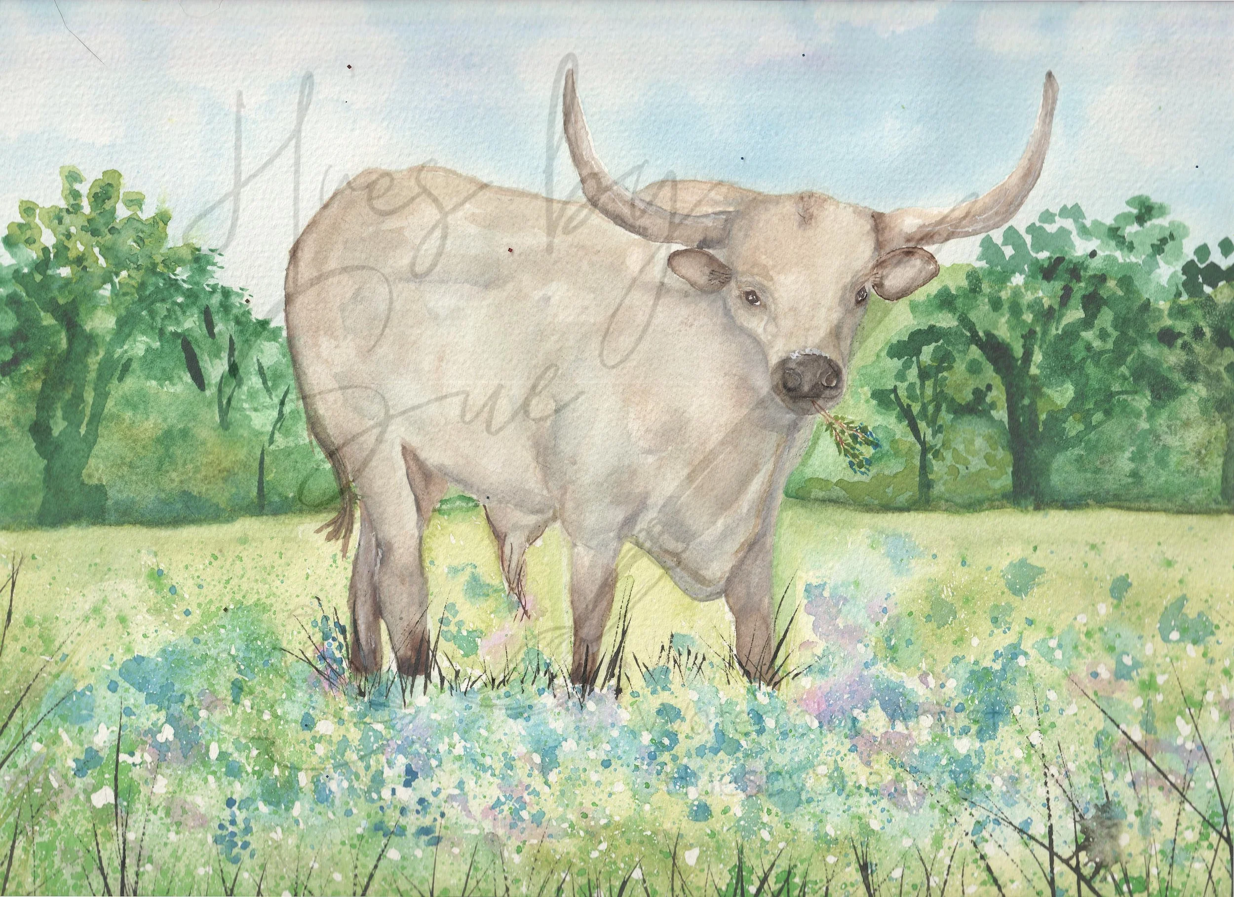 Original Texas Longhorn Watercolor