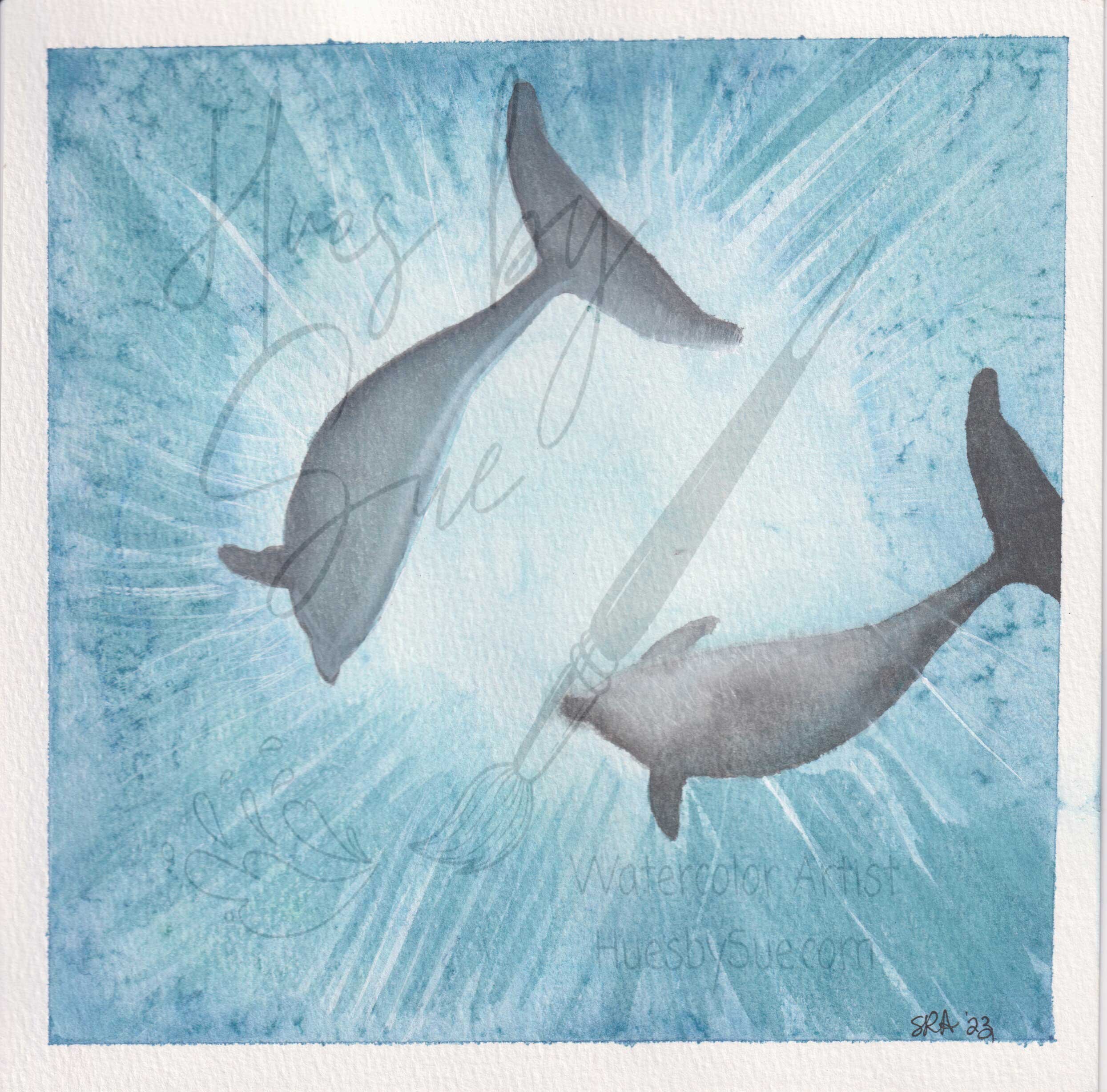 2024-dolphin-pair.jpg