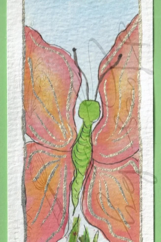 2025-CoralButterfly2.jpg