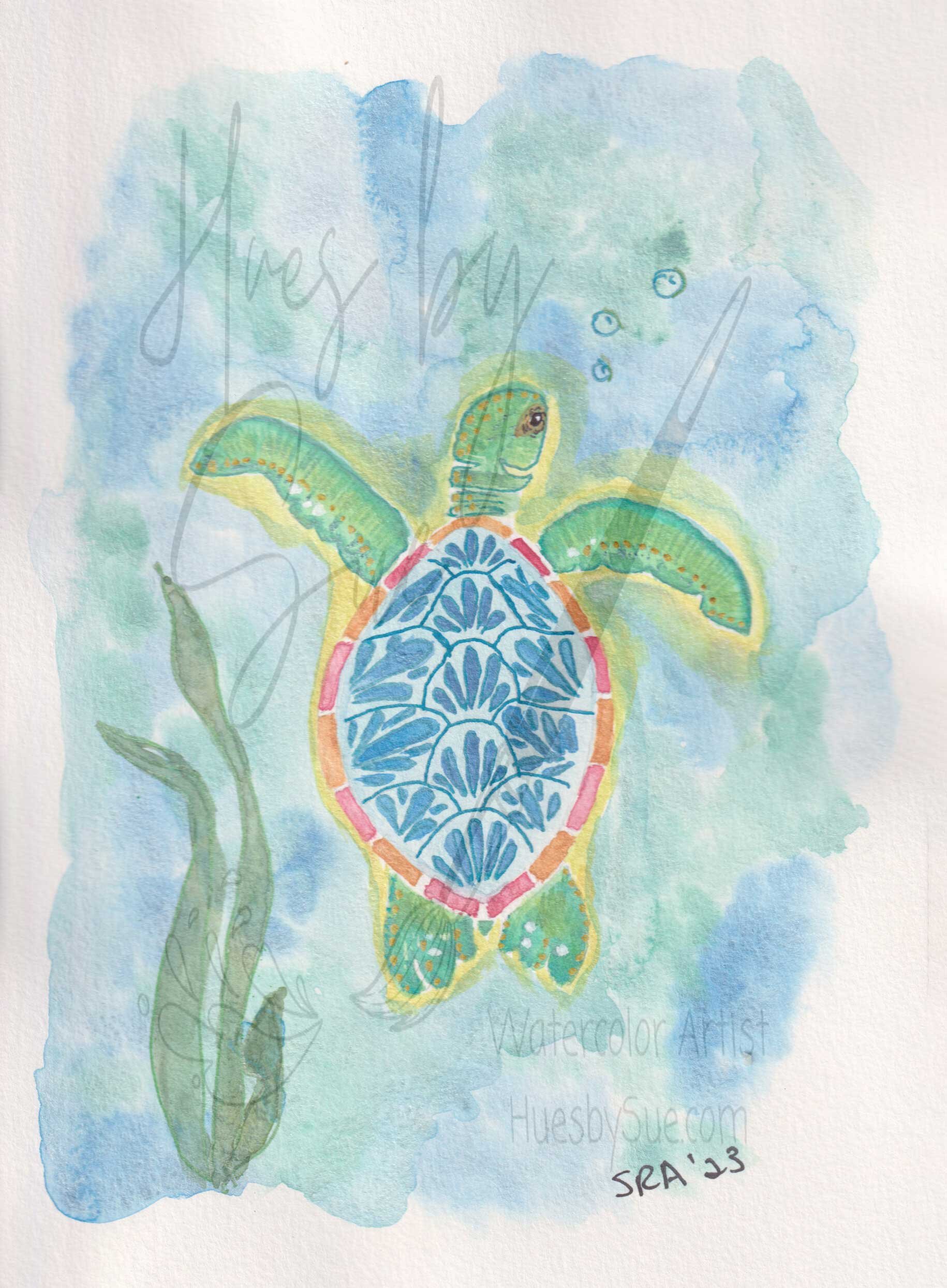 2024-seaturtle.jpg