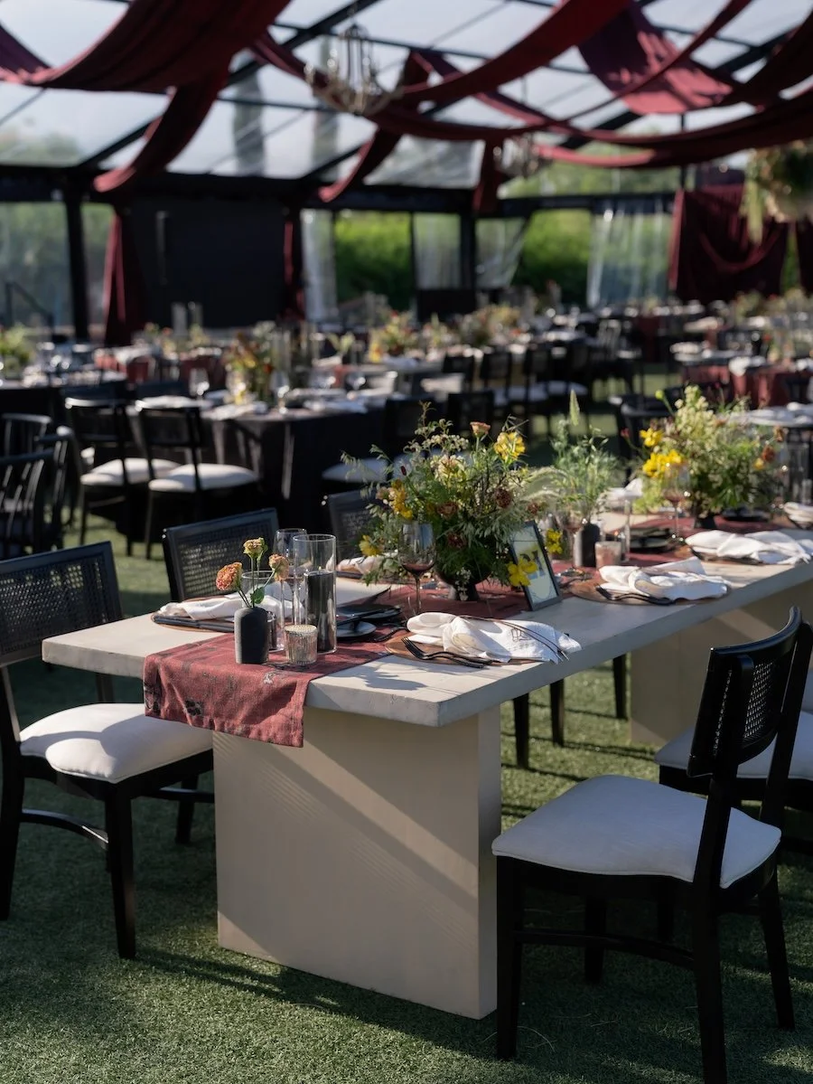 smoke-strings-prim-event-rentals-8.jpg