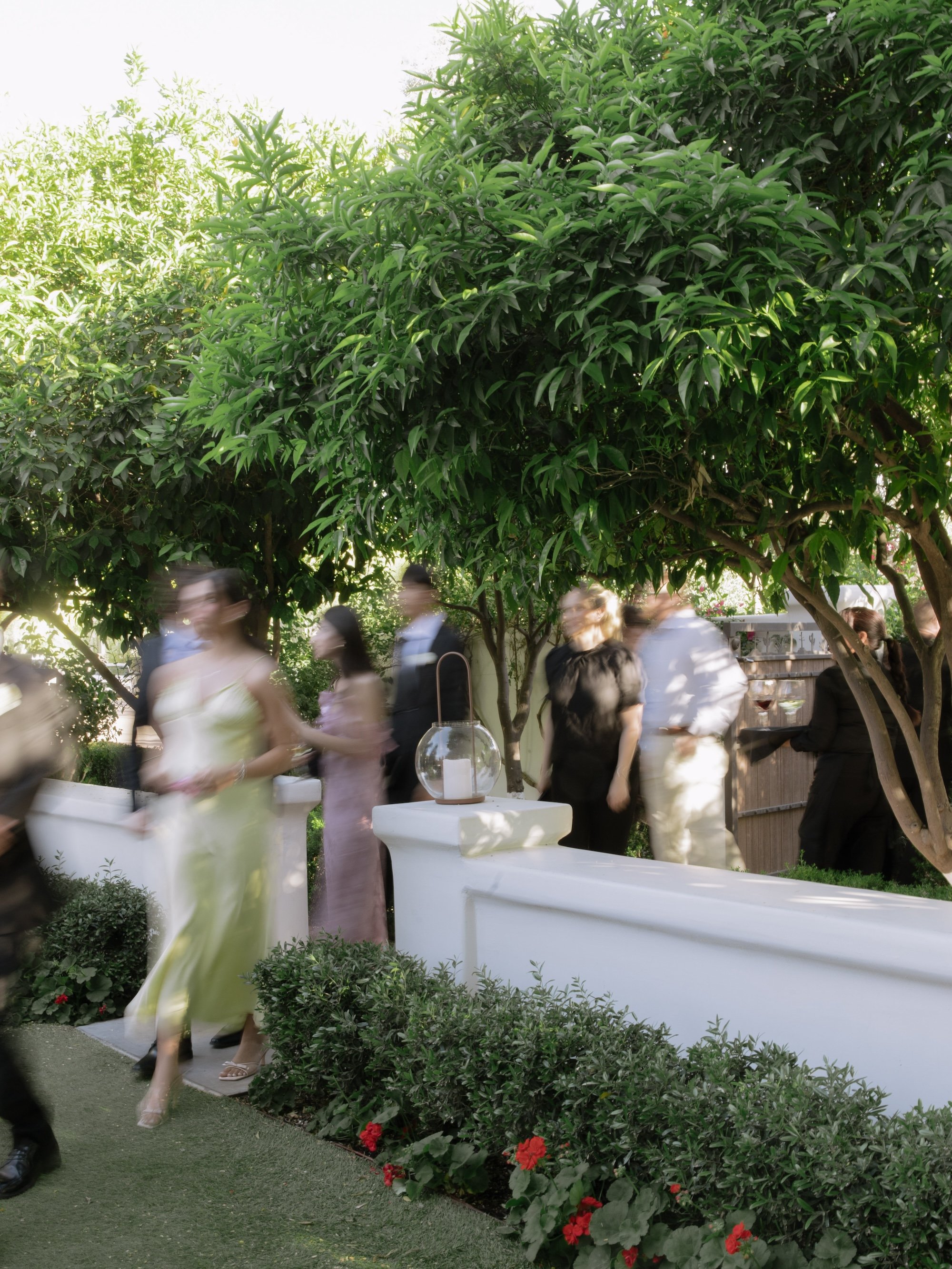 wedding-chairs-el-chorro-prim-event-rentals-42.jpg