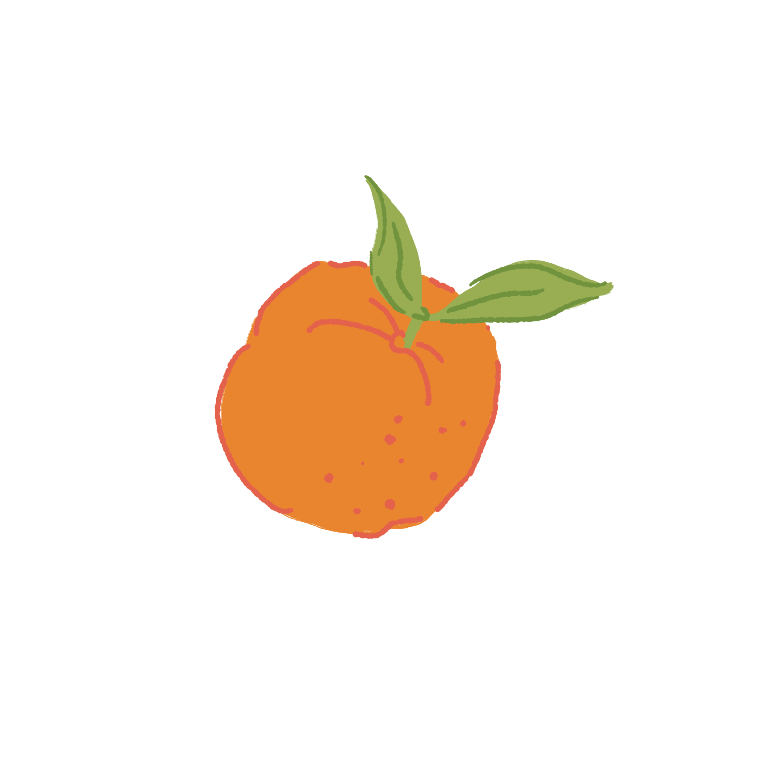 Orange 1.PNG