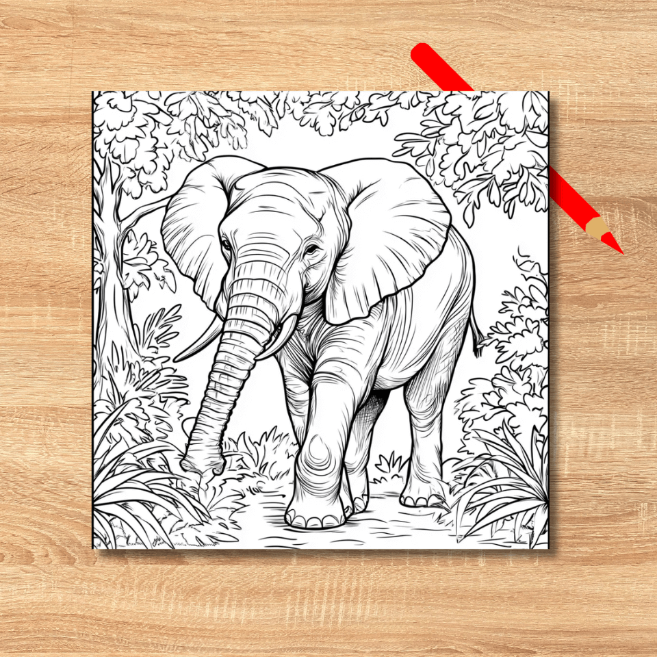 Elephant.png