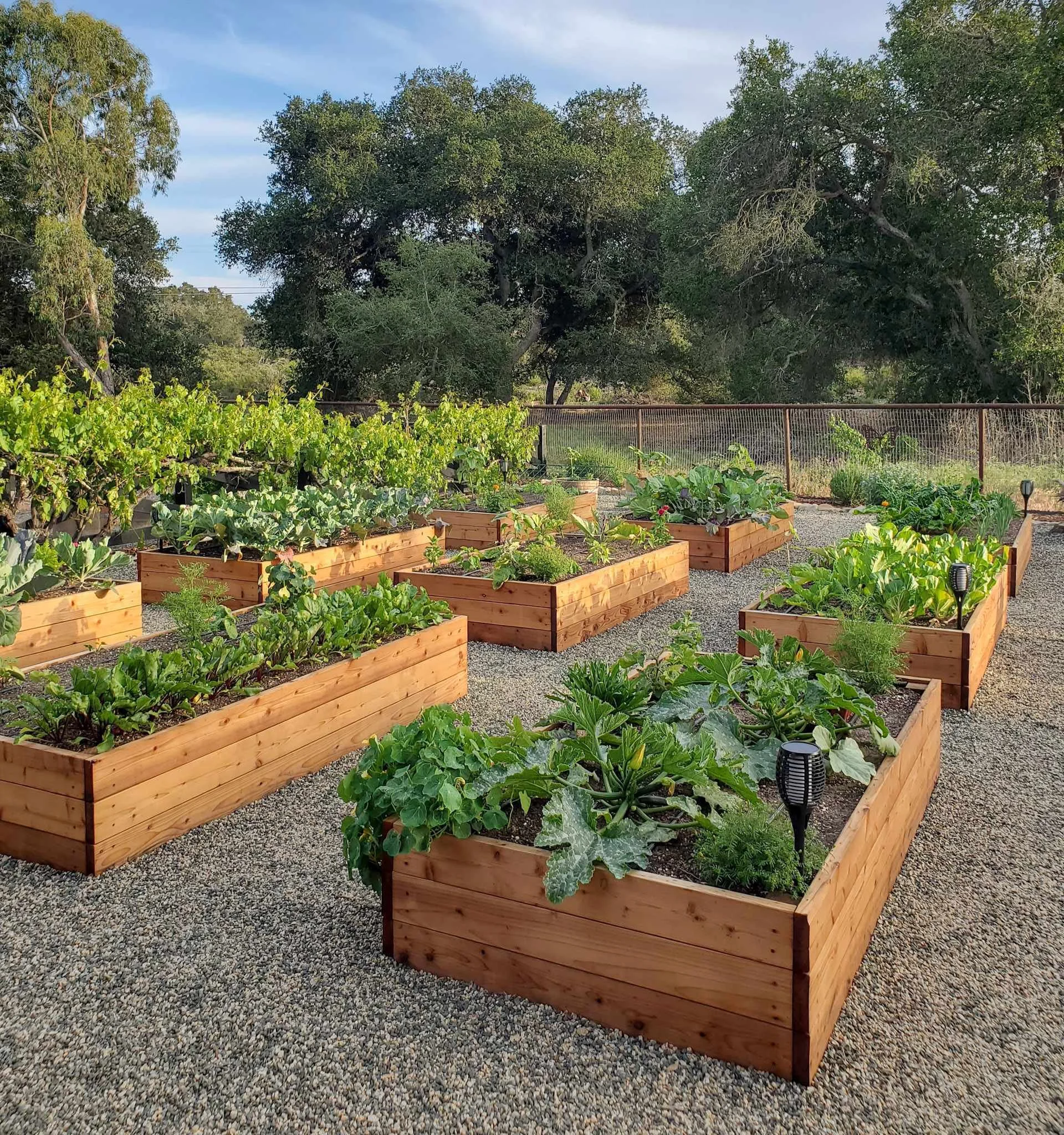 make-garden-beds-last-longer-feature-homestead-chill.jpg