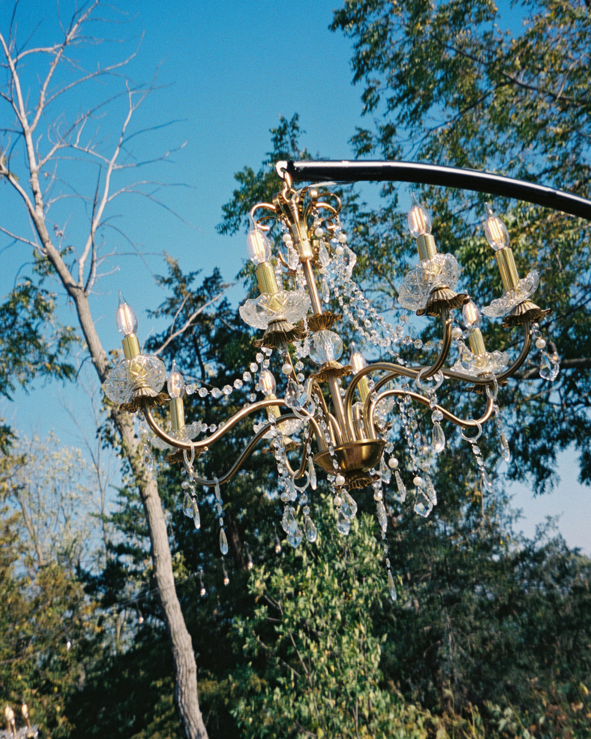 Iowa Greenhouse Wedding Day (7).png