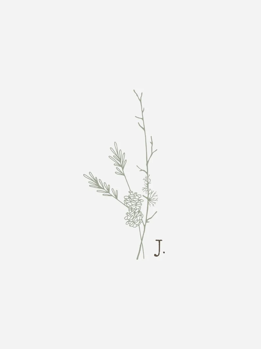 Logo for Justraelle Photography, a lifestyle photographer, featuring a nature-inspired design with a branch, pine cone, and greenery, conveying a wild yet delicate aesthetic.