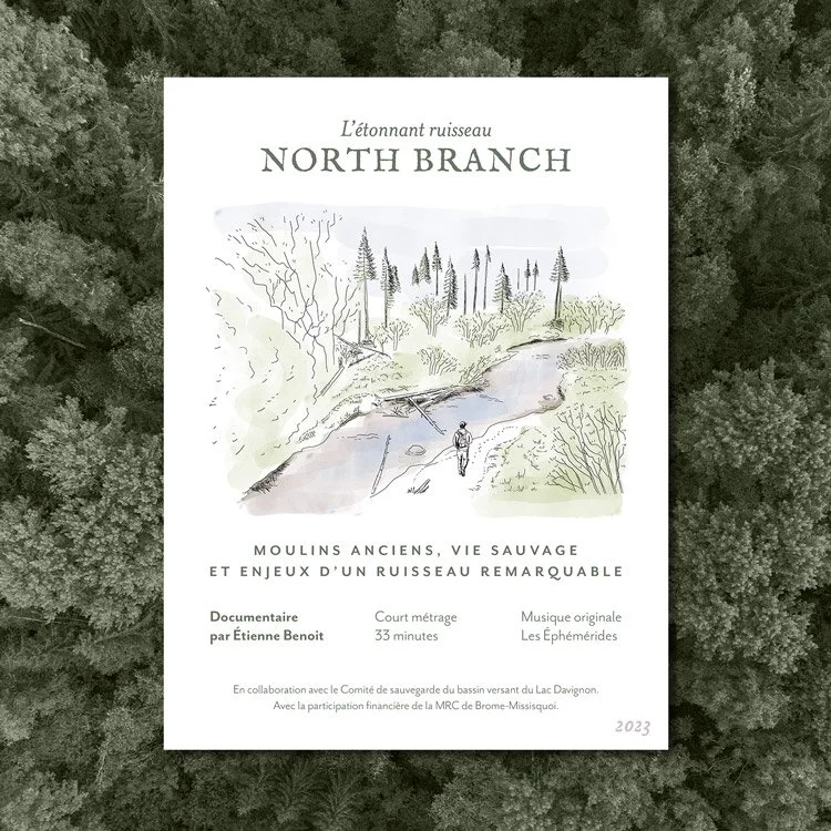 Poster illustration and design for the documentary L'Étonnant ruisseau North Branch by Étienne Benoit, featuring a watercolor-style scene of a person walking along a forest river. The design blends hand-painted nature imagery with elegant typography.