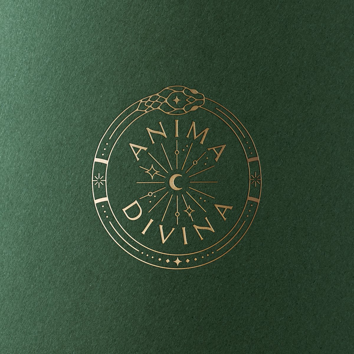 Logo for Anima Divina, a spiritual coaching business, featuring a golden ouroboros snake surrounded by whimsical celestial symbols, moon, stars, sun, and rays on a green background.
