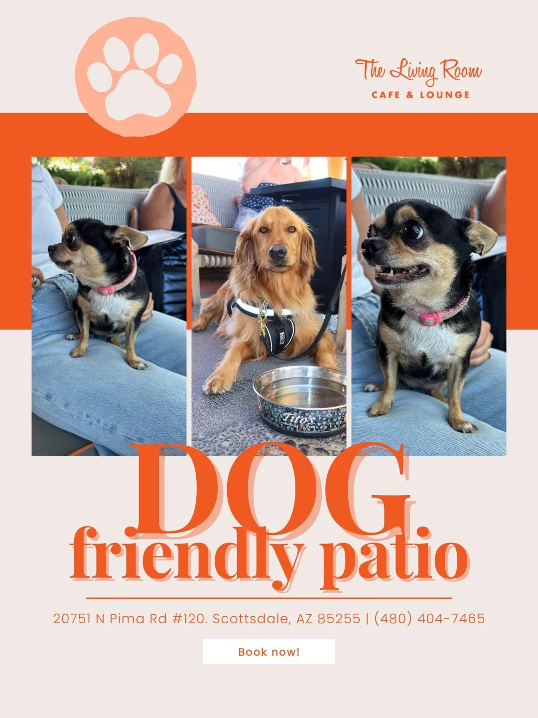 Bring your pup and soak up the chill vibes &mdash; our patio is dog-friendly and always ready for good times. 🐾☀️

#DogFriendlyPatio #AZDogLovers #PatioVibes #ScottsdaleSpots #LivingRoomWineBar